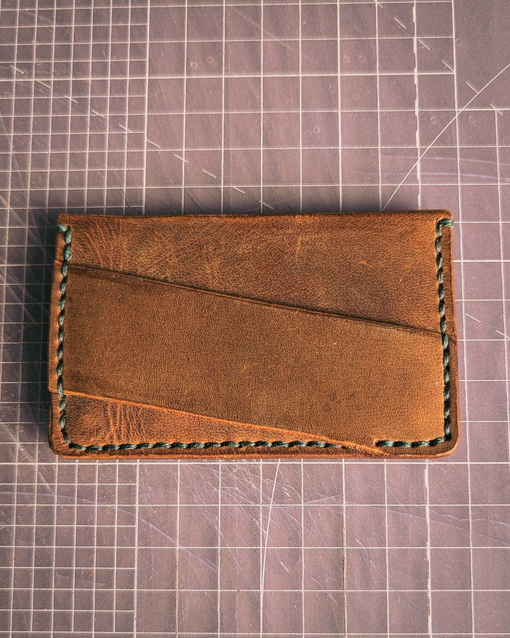 Crocodile Brown Back