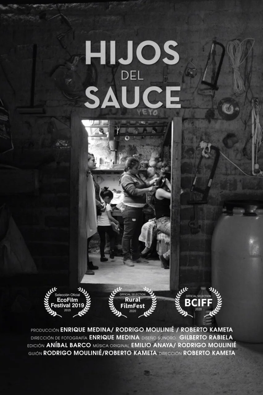 Hijos del sauce poster 1.jpeg
