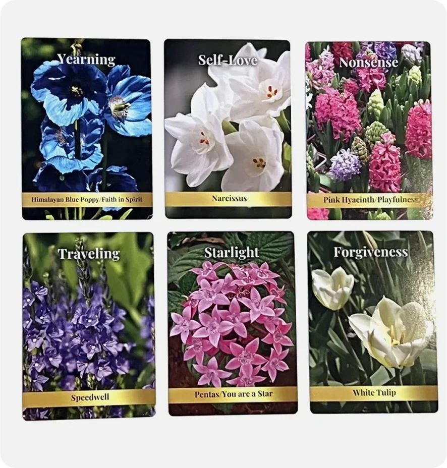 Daily Inspiration Book