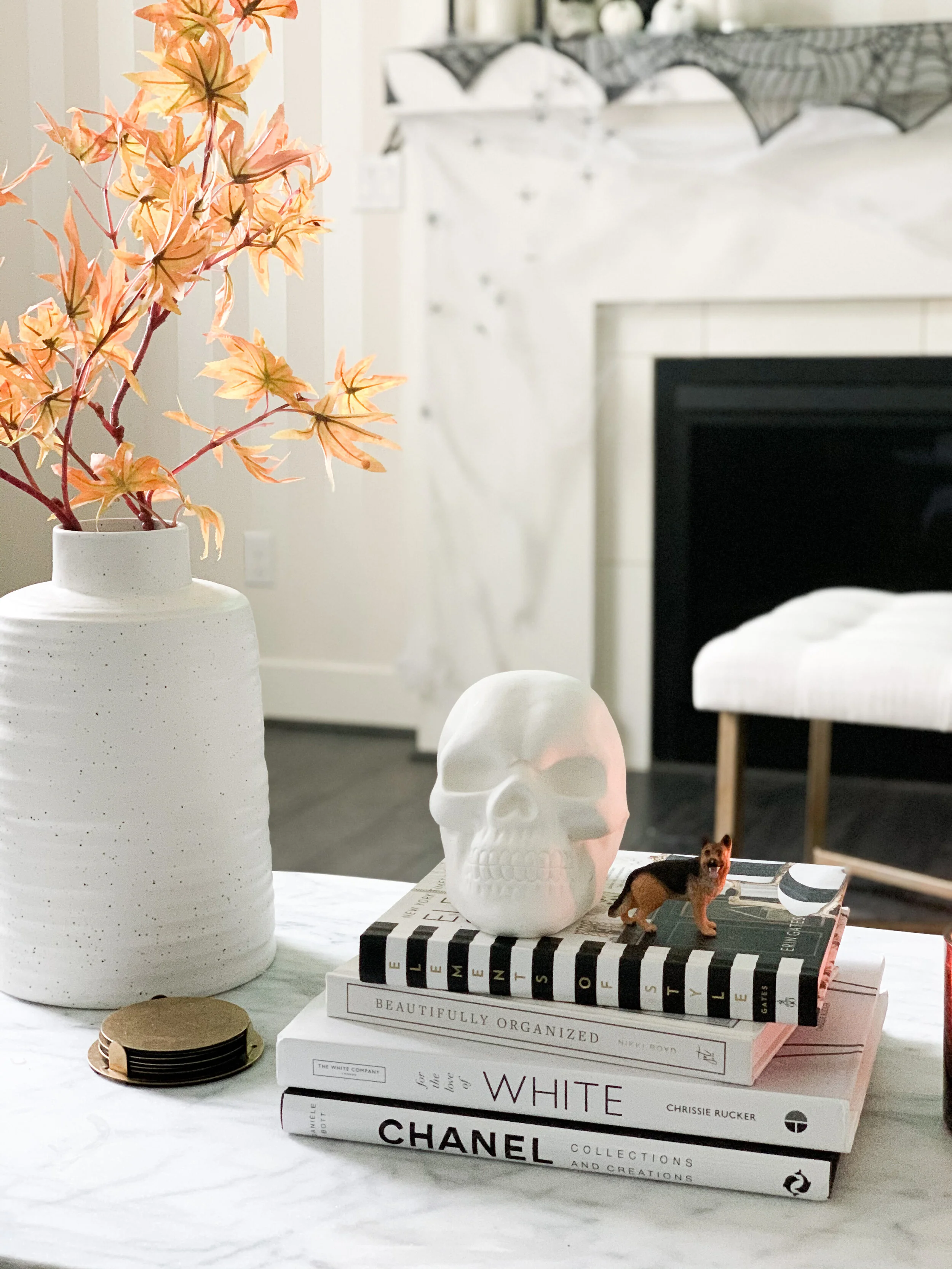 Photo Oct 18, 10 45 14 AM.jpg