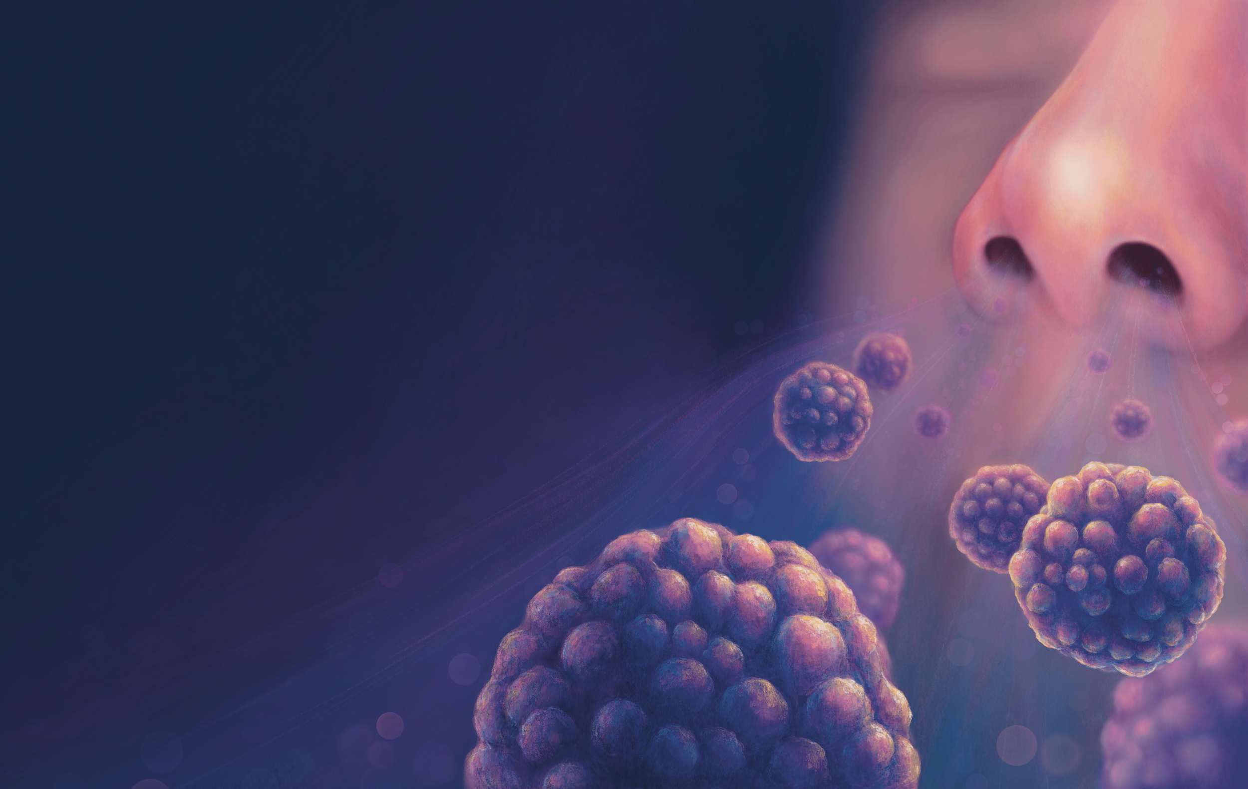 nose thesis_Cover compressed.png