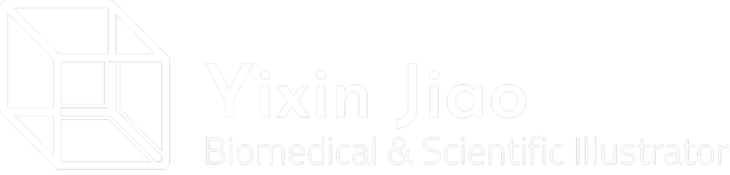 Jiao Biomedical Illustration