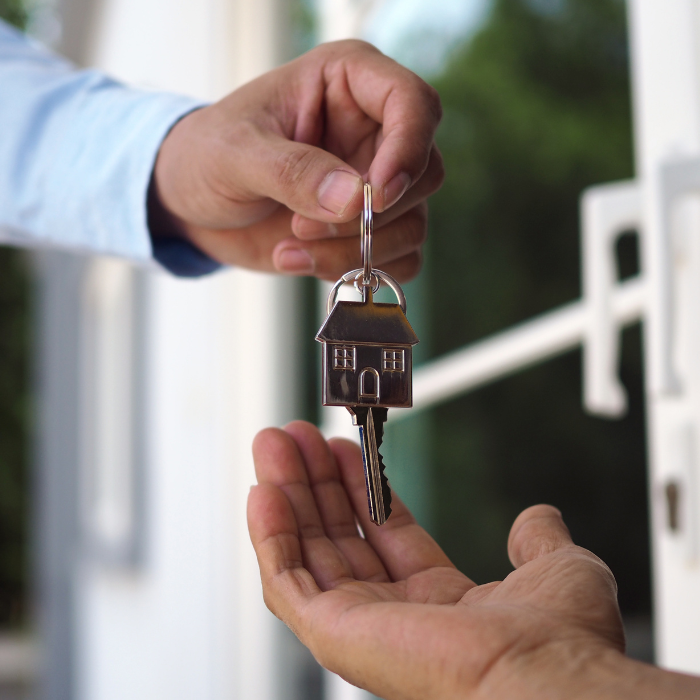 Property Owners and Land Investors