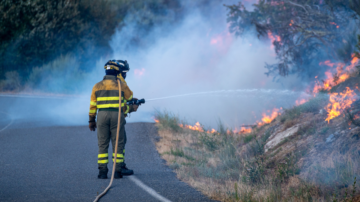 wildland urban fire