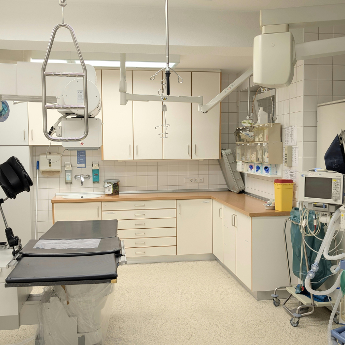 Healthcare & Institutional Permits