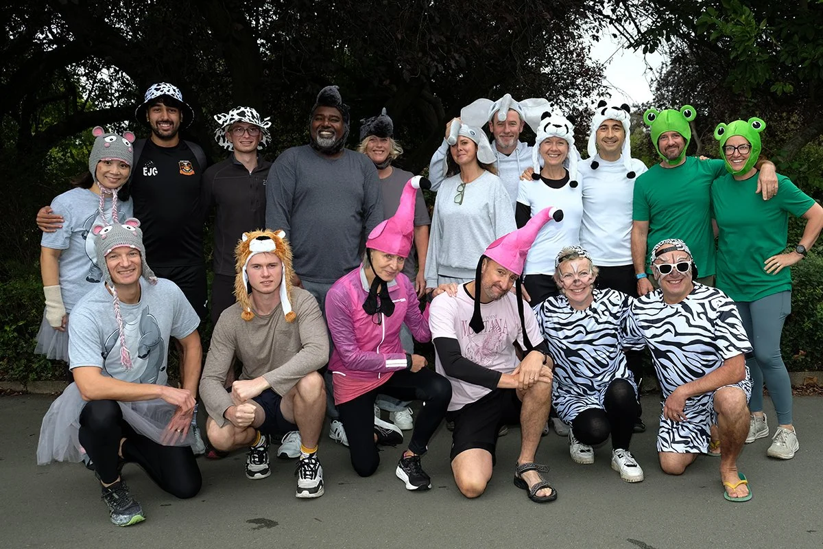 8703 NOAHS PADDLE DRAGONS 2.jpg
