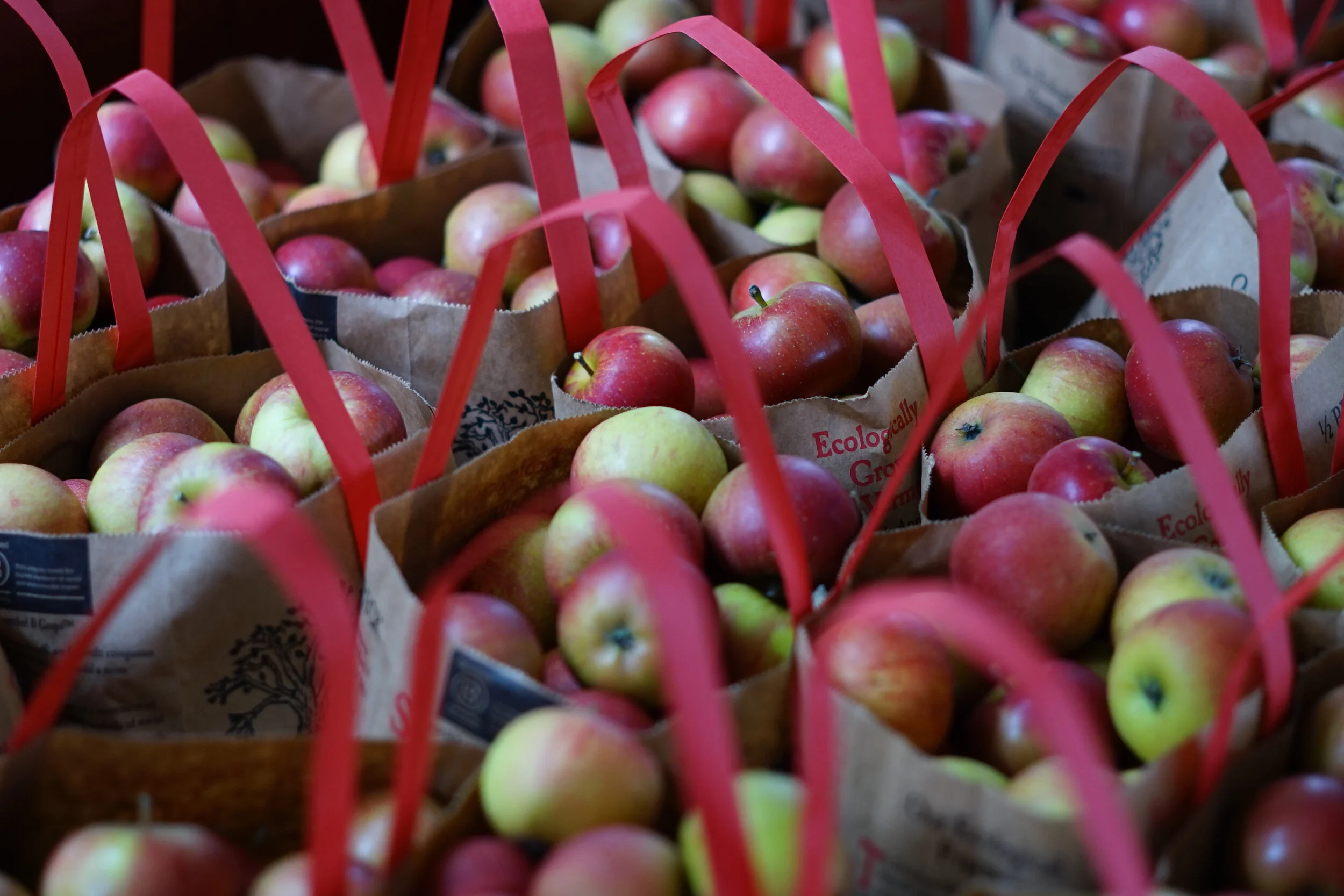 CSA — Scott Farm Orchard