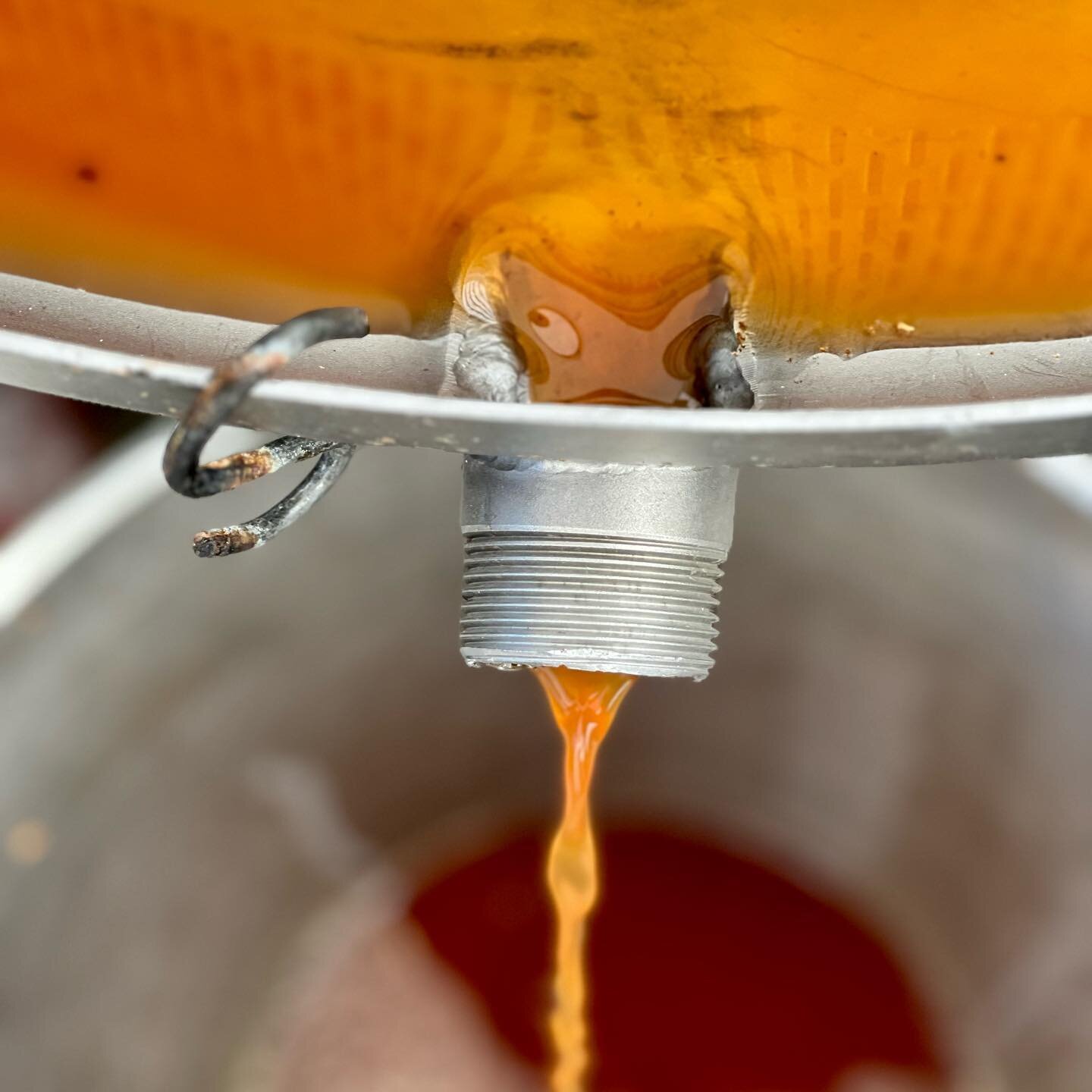 We pressed some beautiful fruit today for next years Chez M&eacute;m&eacute; blend~

Dabinett, Foxwhelp, Orleans Reinette, Bramley&rsquo;s Seedling and Roxbury Russet made an unbelievably gorgeous, thick, unctuous, caramel-like cider. 

We are very e