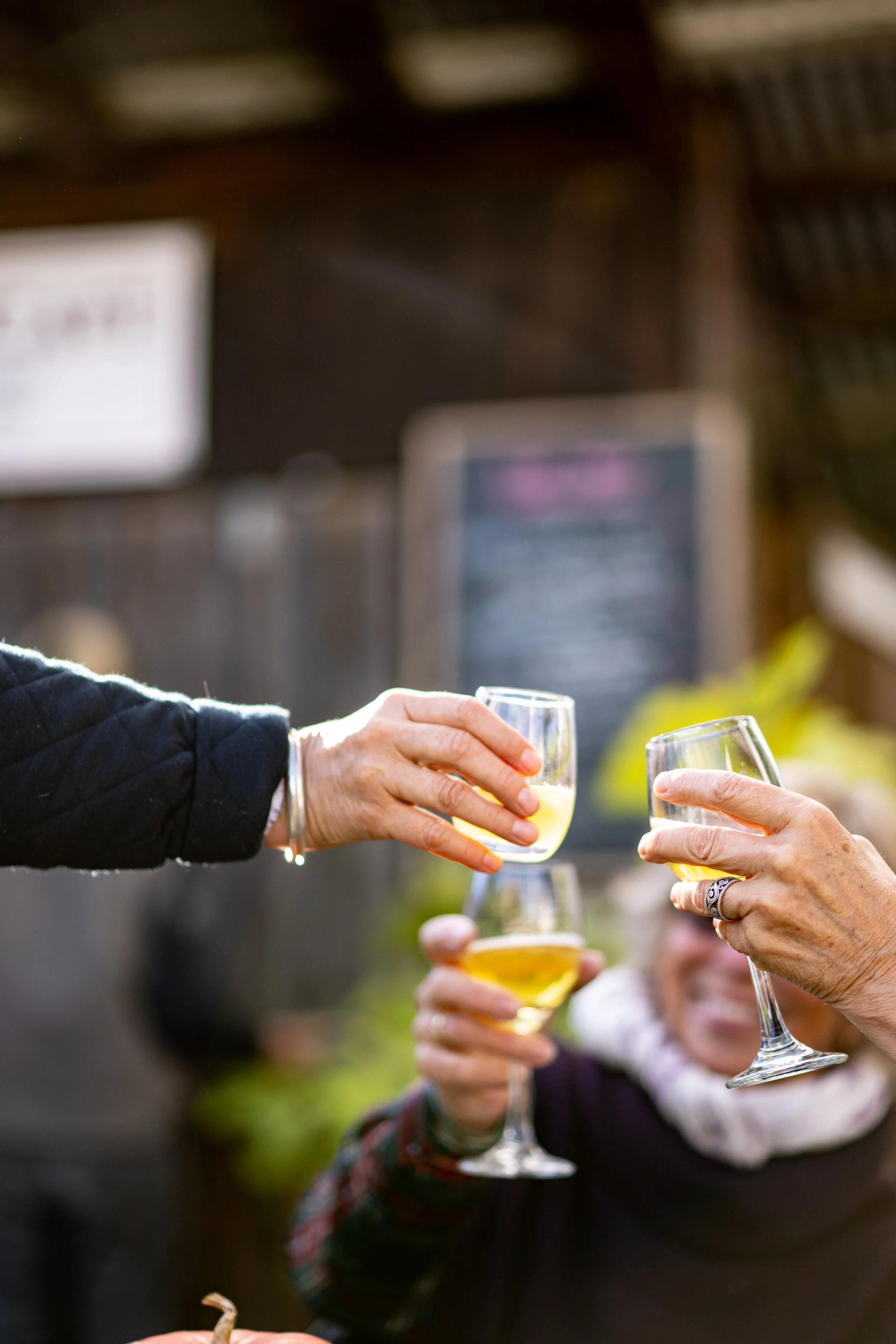 Rye & Gin Ciders Tasting