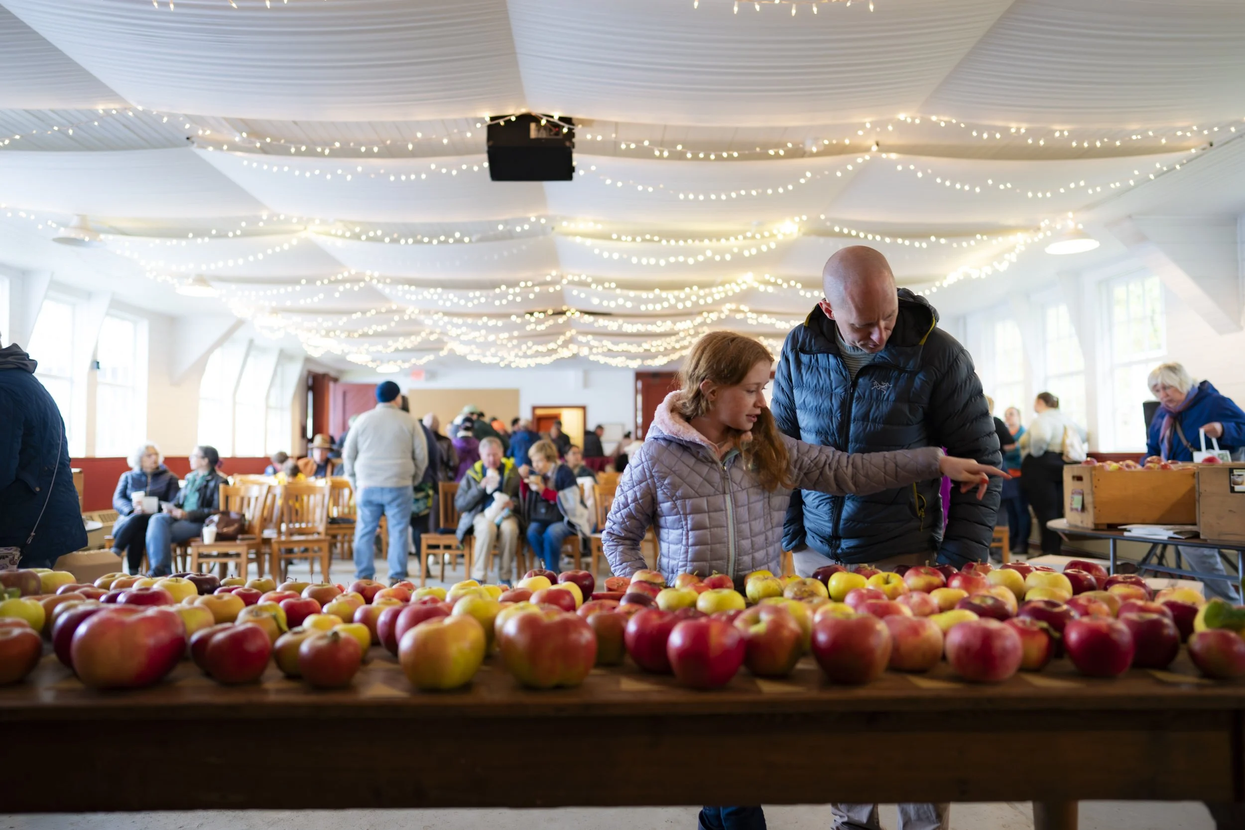 22nd Annual Heirloom Apple Day