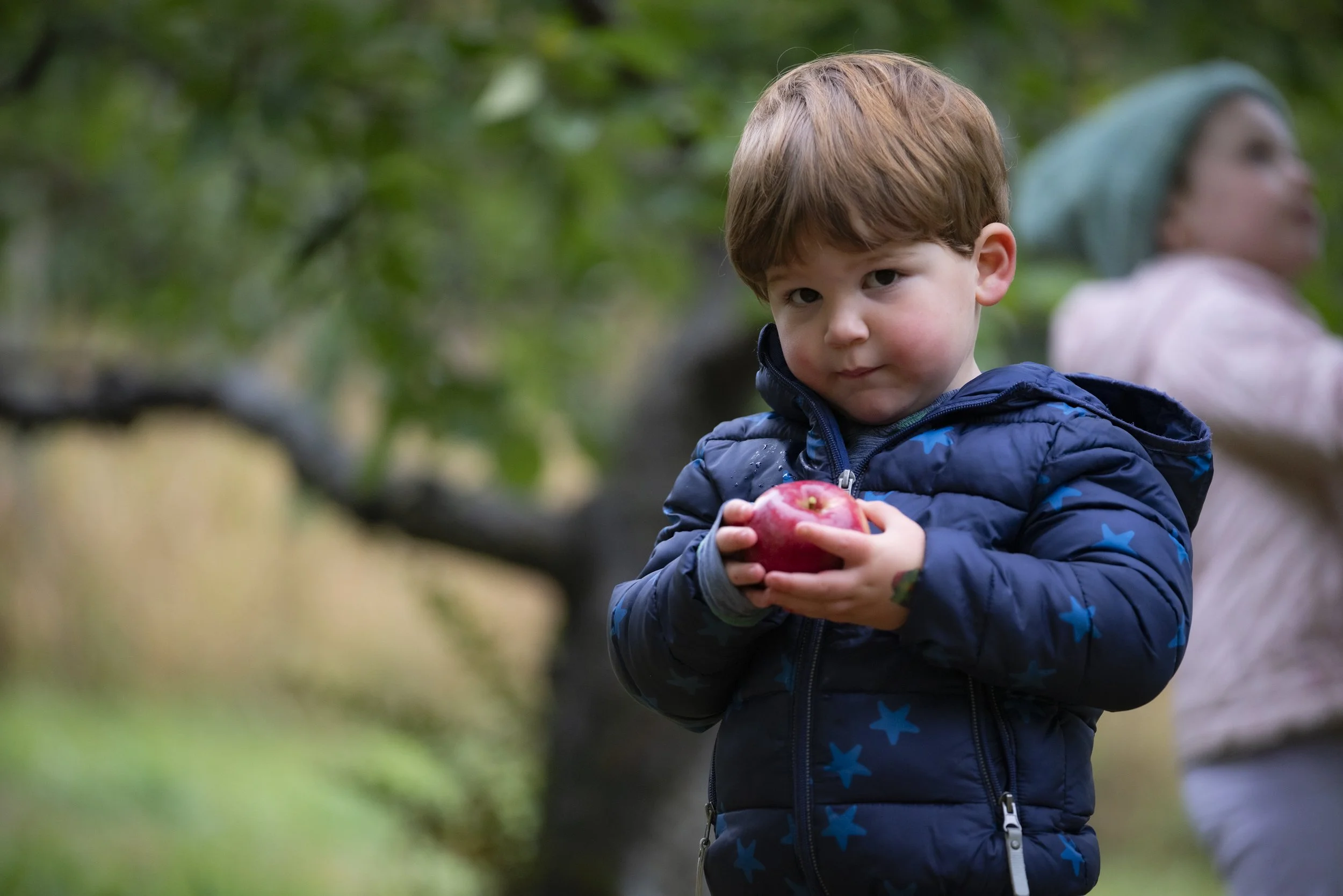 ScottFarm-AppleDay2024-Edits-13 (1).jpg