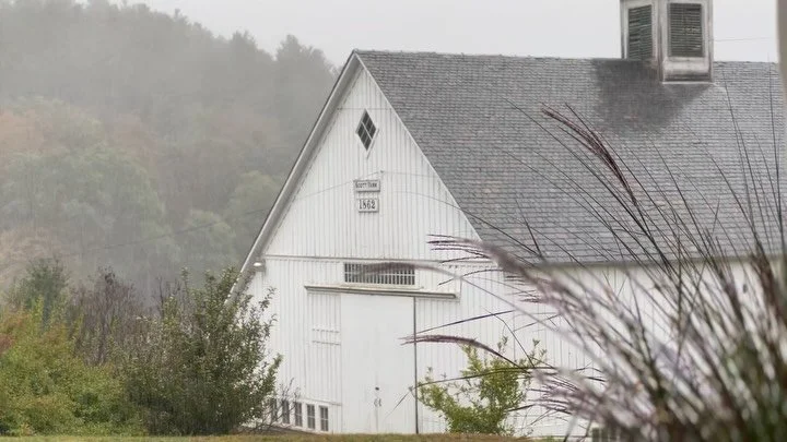 4&rdquo; of rain is 108,616 gallons per acre. That means we had approximately 2,715,400 gallons of glorious enriching rain renewing our desperately parched orchard since Wednesday morning. 
Joy comes in many forms. 

#thankful #singinintherain #whata