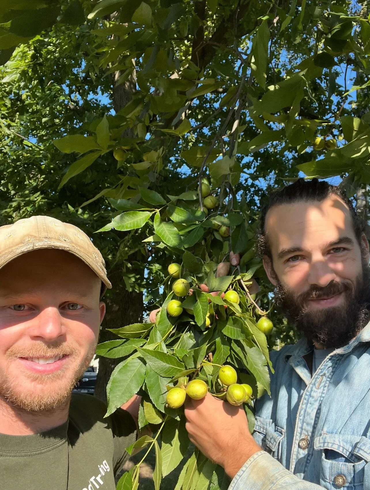 ✨✨✨VENDOR SPOTLIGHT ✨✨✨Meet Yellowbud Farm! Get your opportunity to chat with tree nut experts Jesse Marksohn and Eric Cornell&hellip;
&bull;
Yellowbud Farm is a non-toxic tree nursery focused on ecological restoration and food security. Growing a di