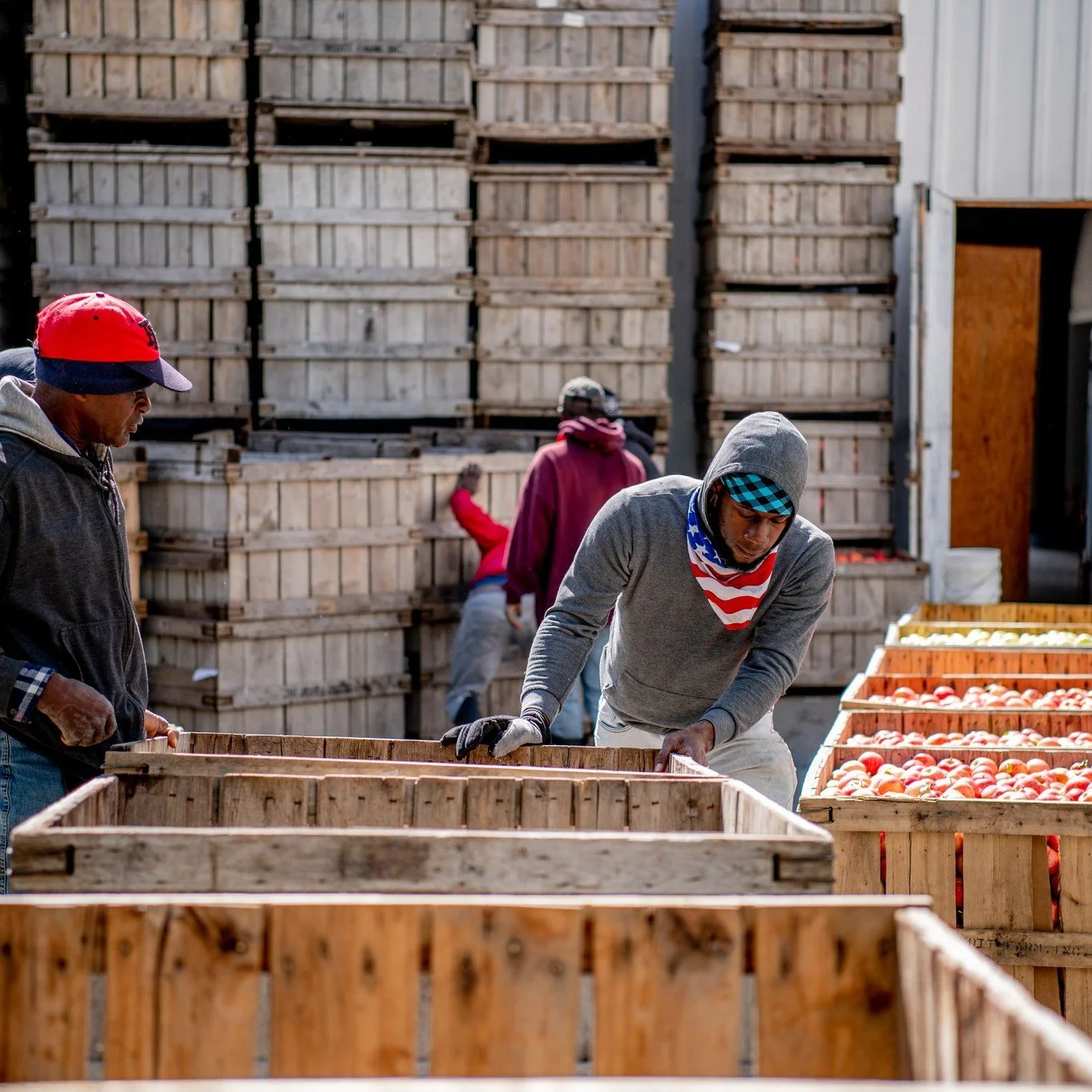 🚨**EMERGENCY FUNDRAISER**🚨
🇯🇲DONATE AT THE LINK IN OUR BIO🇯🇲

In a time of year that is typically filled with celebration for the success of a completed harvest, we find ourselves utterly heartbroken by the catastrophic devastation that our har
