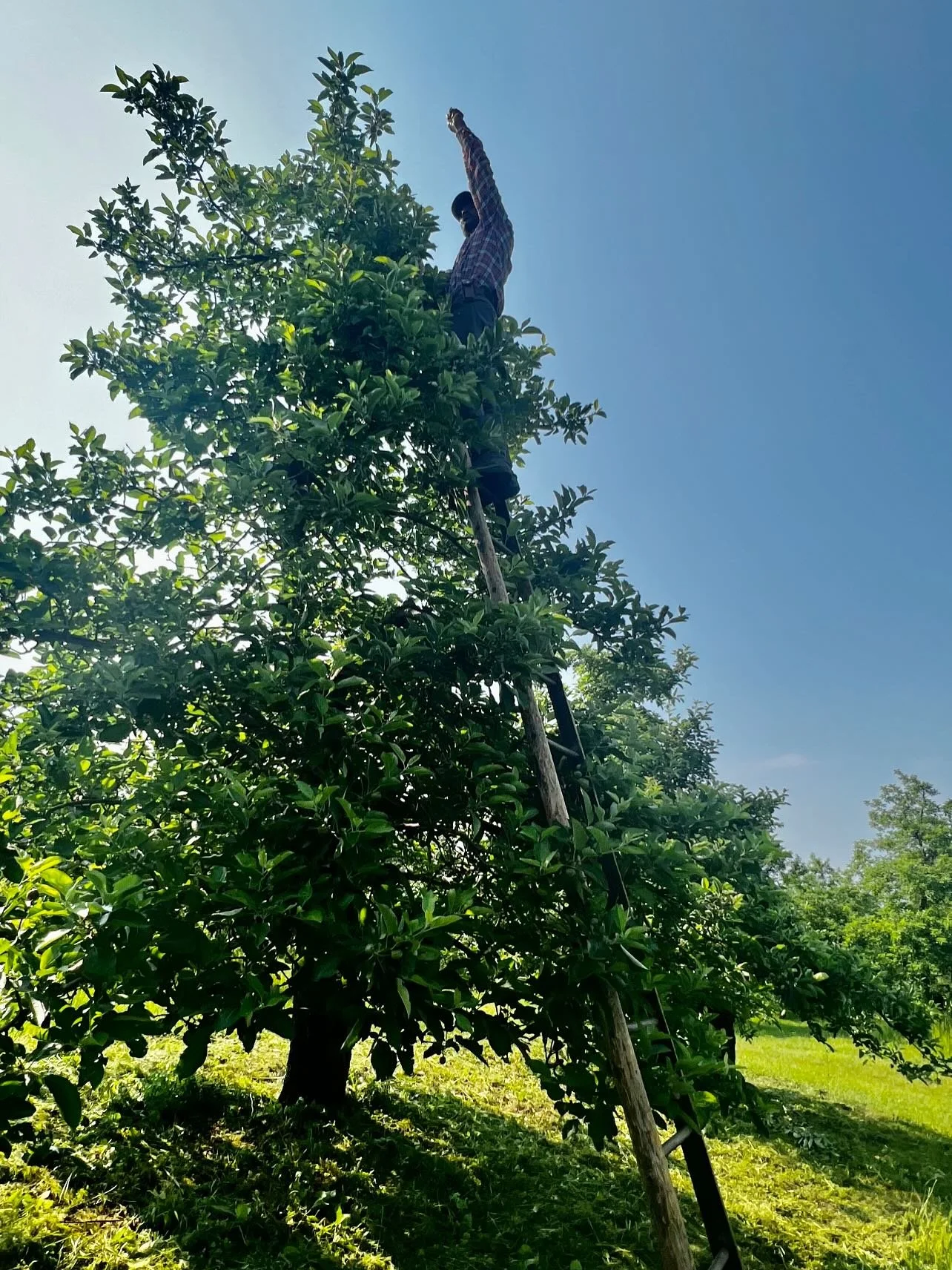 ✨We are SO thankful for YOU&hellip;✨

If I&rsquo;m being honest, my heart and mood have been struggling with sadness for some time. Everytime I look at the news, our world, our country, our individual beliefs-whatever they are; the divide between us 