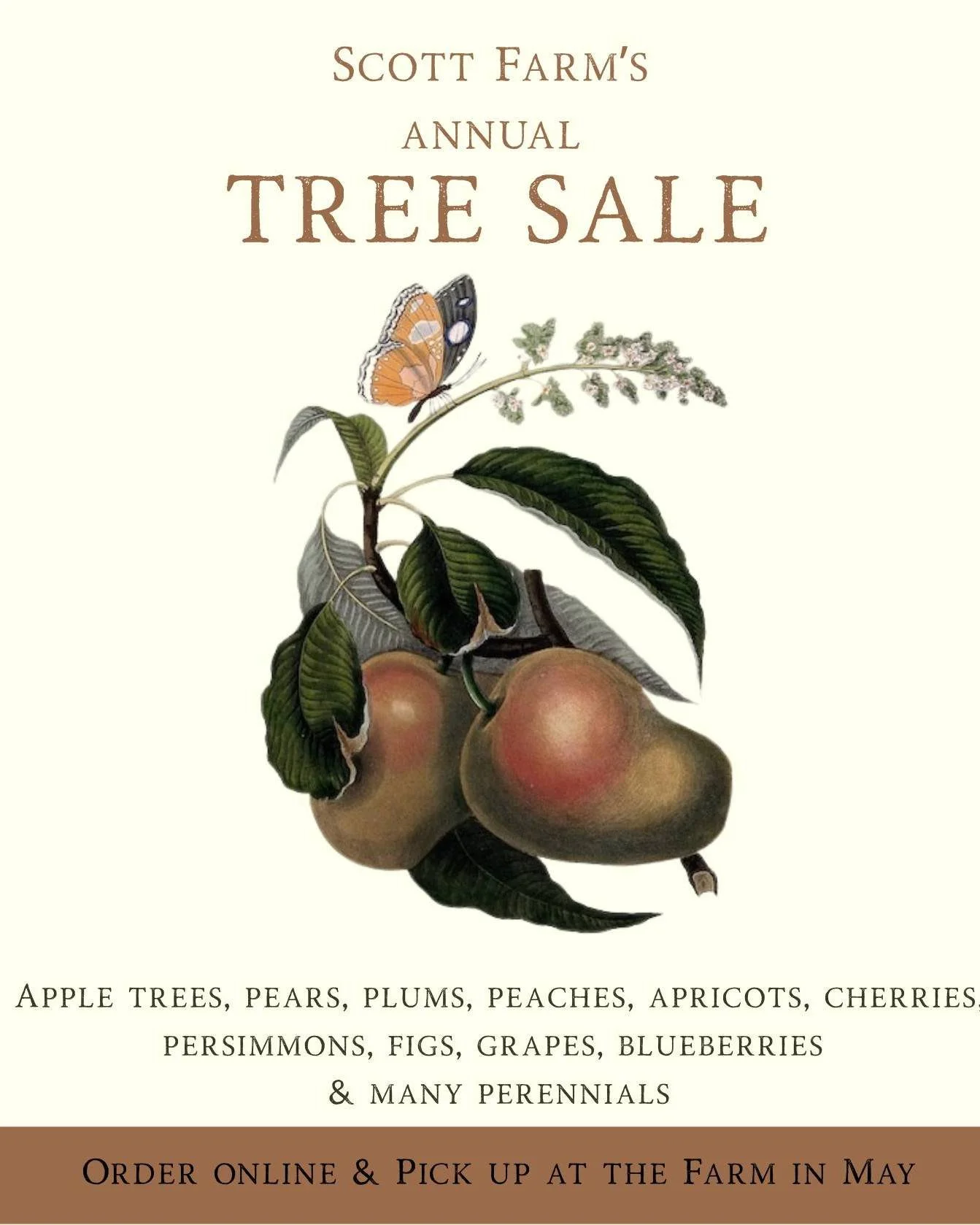 Our Annual Tree Sale is live on our website!

We have a wide selection of heirloom apple trees, stone fruit, berries, grapes, figs and lots of beautiful perennials.

All orders are done on our website and need to be picked up at the Farm on the first