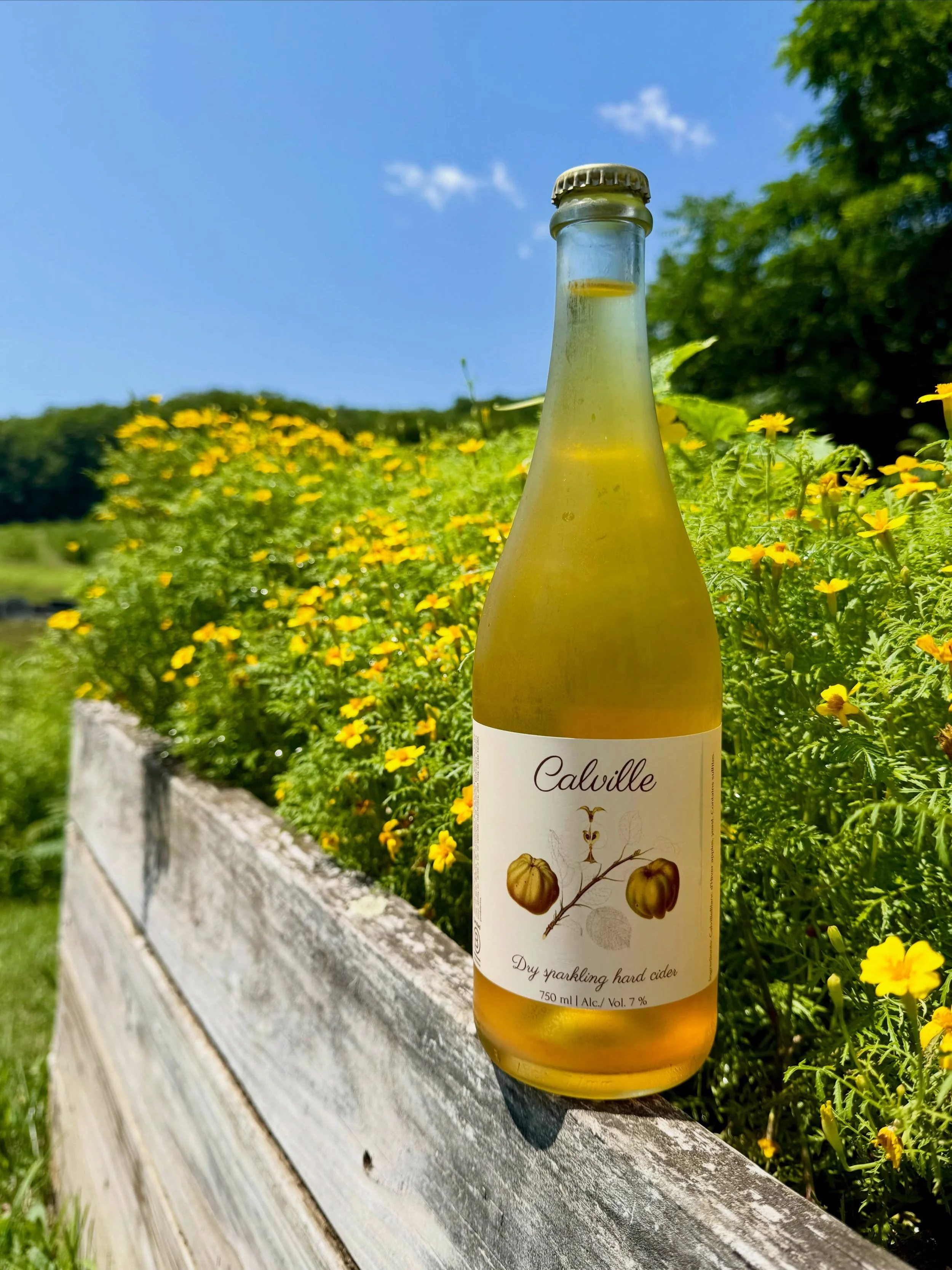 Join us this Saturday at 11am to taste the newest hard cider offerings. General Manager Simon Renault will discuss the process of creating these new ciders, each crafted from a single apple variety. No blends here! Tastings and charcuterie will be av