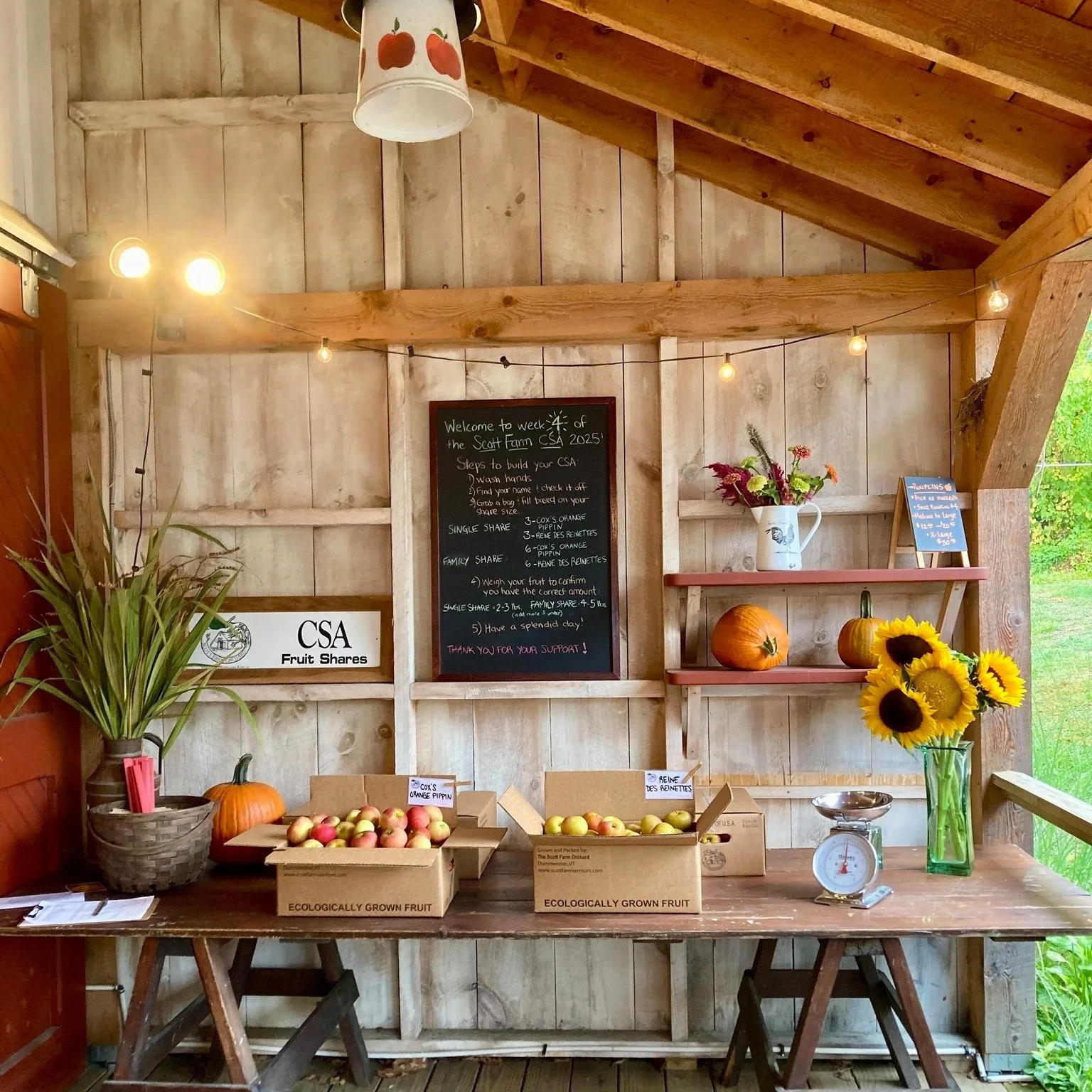 Fall Fruit CSA shares are now available on our website!

See link in the bio Linktree for more details.

Join us for this 12 week adventure starting August 31st.

Each week, you will get freshest picked ecologically grown apples combined with an asso