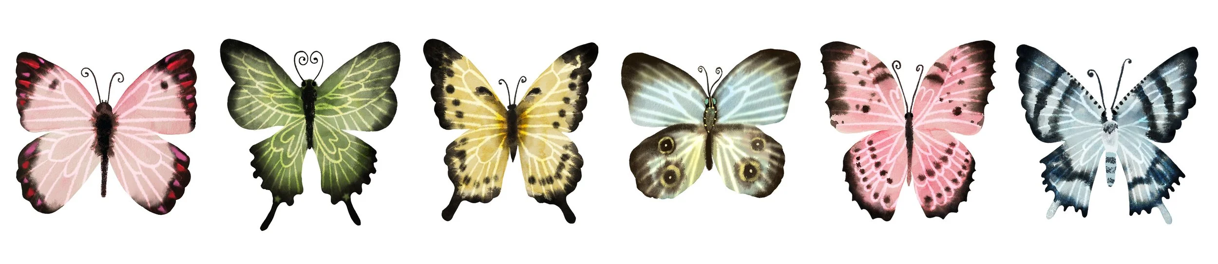 Butterflies