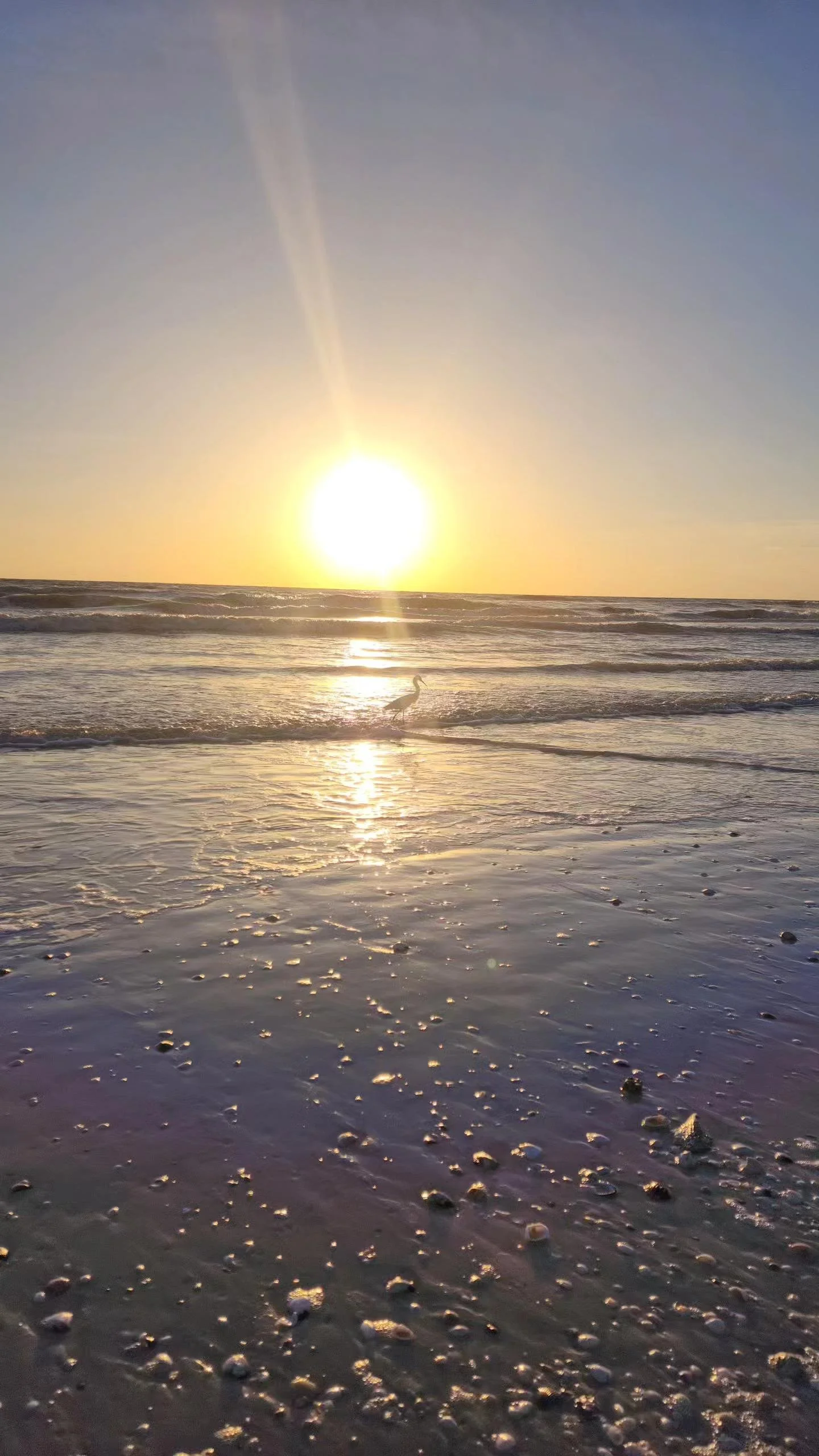 Future Launches on IndustrialStarCustoms.com