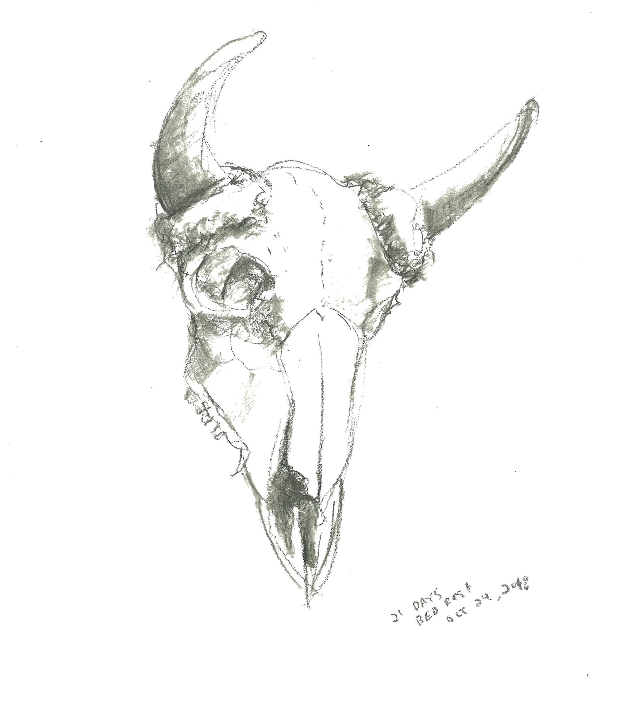 Sketch_10.jpg