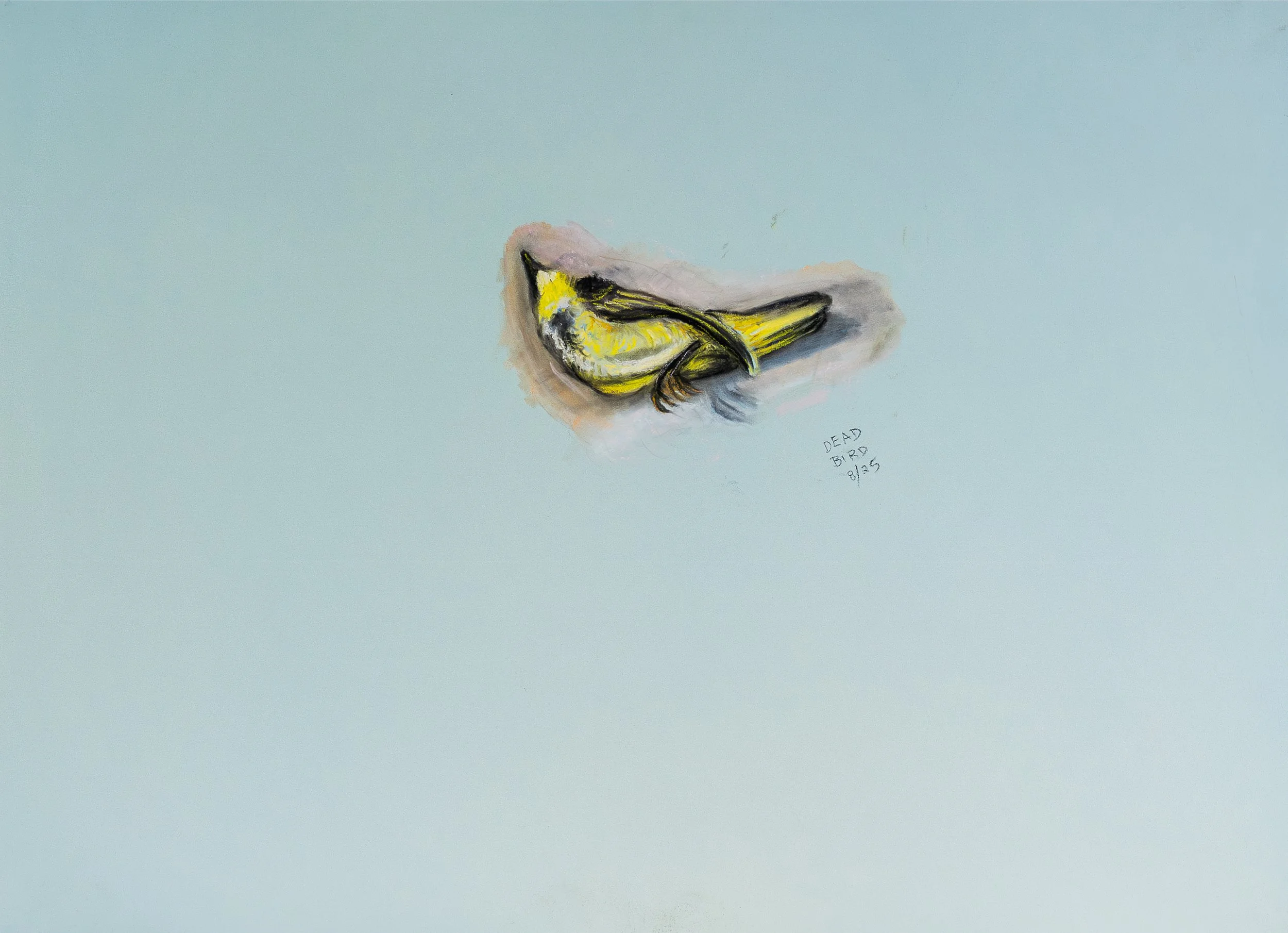 Dead Bird "Banana" | Pastels & Charcoals | 19.5" x 27.5" | 2025