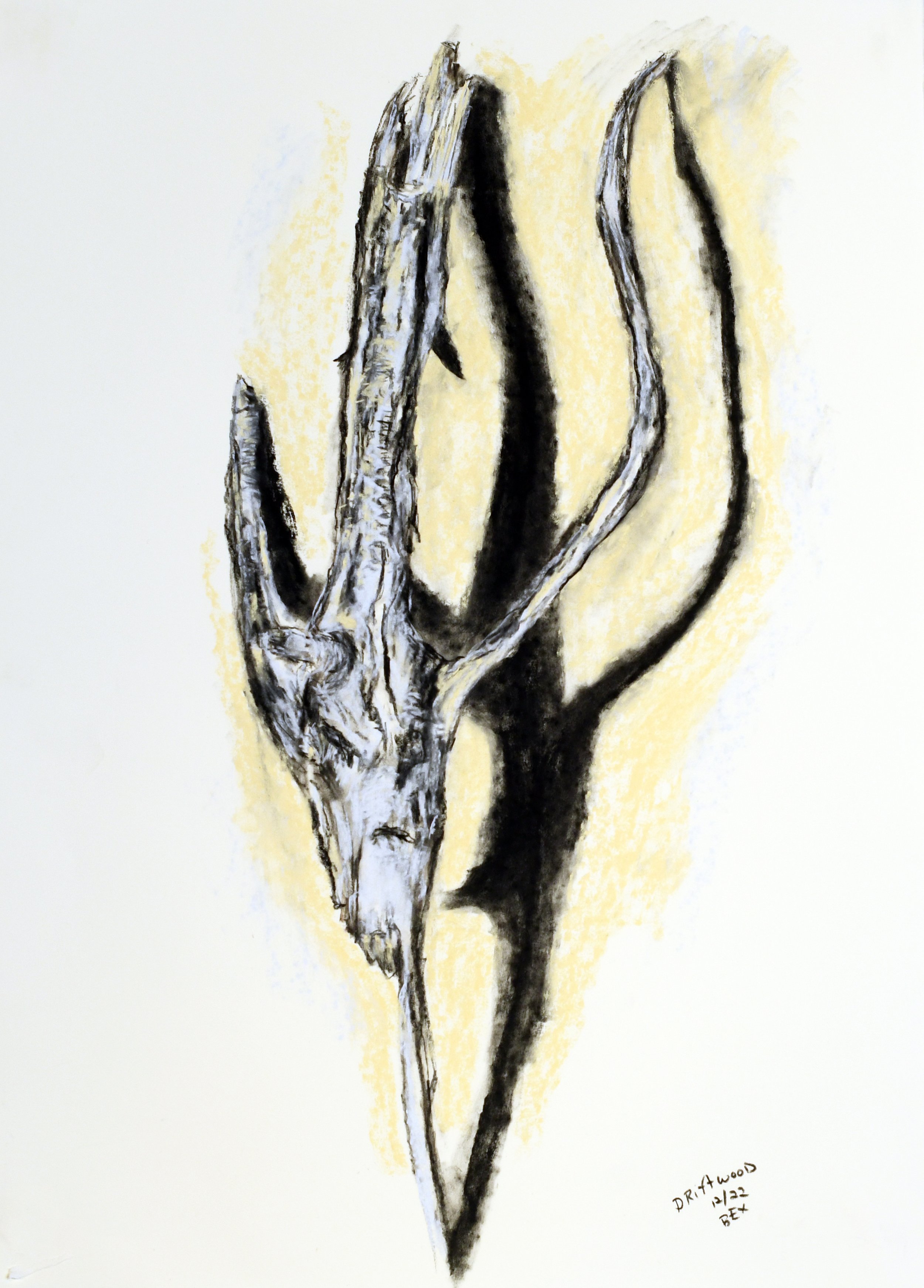Driftwood III | Pastel & Charcoal on Paper| 26" x 19" | 2022
