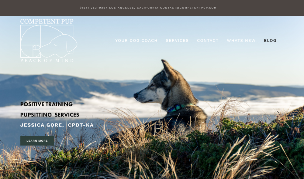 competentpup.com | dog training business