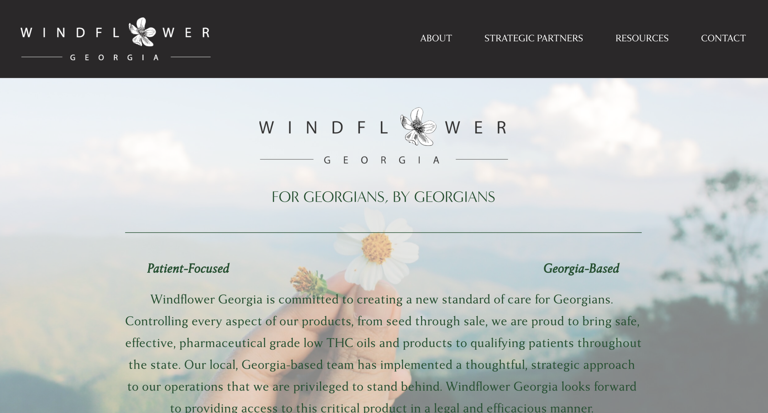 windflowerga.com | business