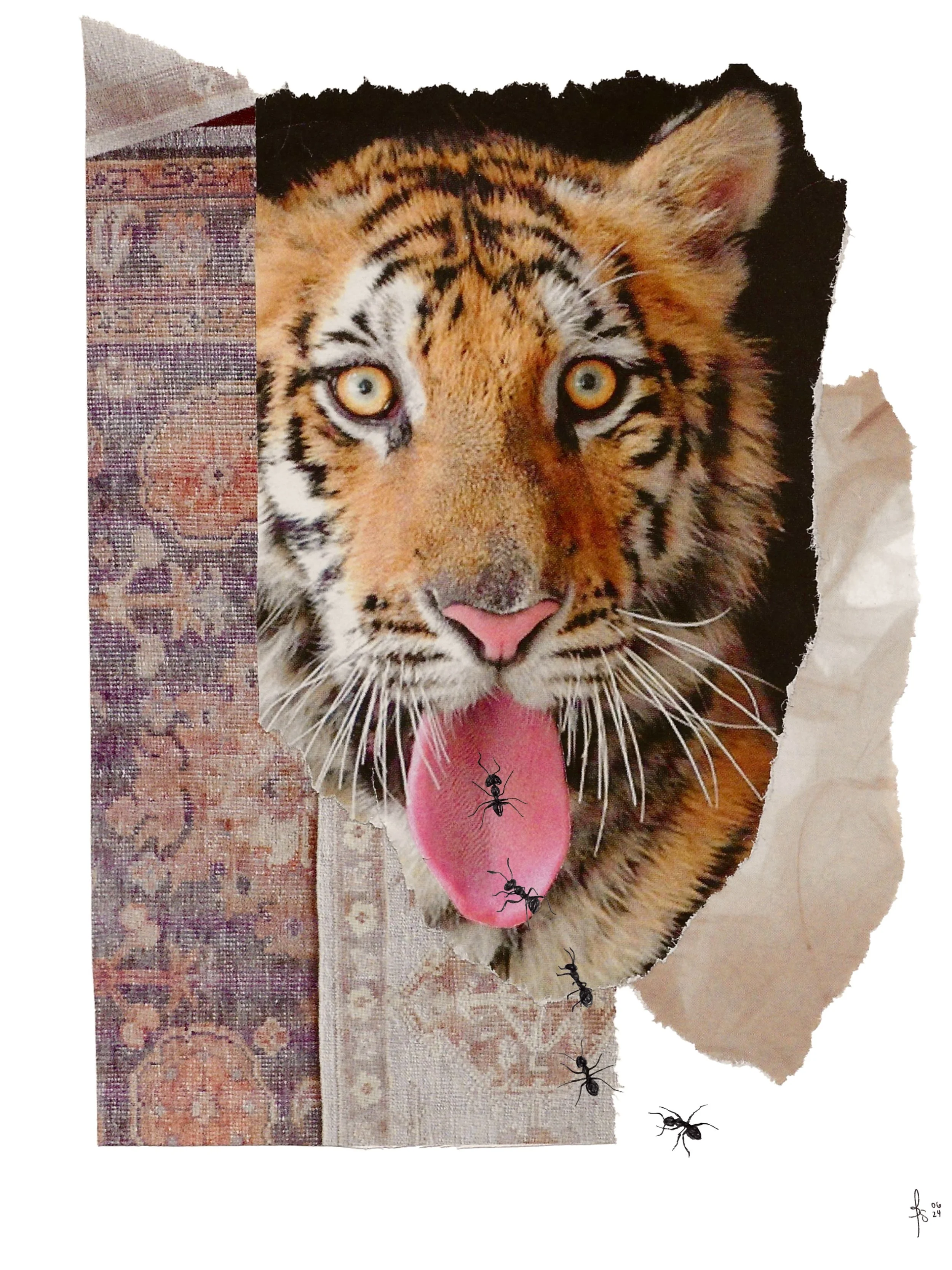 Cat's_Tongue.jpg