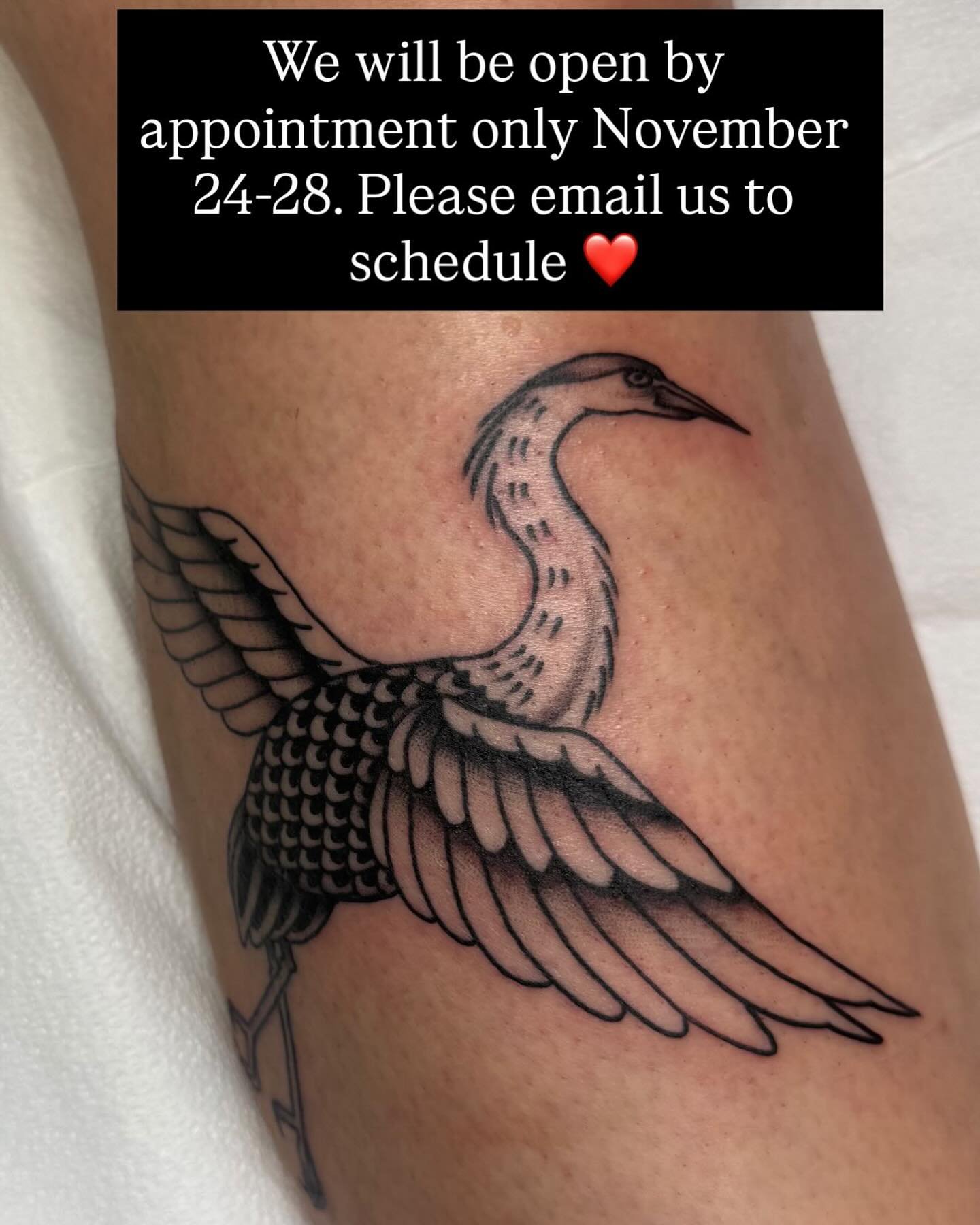 Bird by @jacquirosetattoos