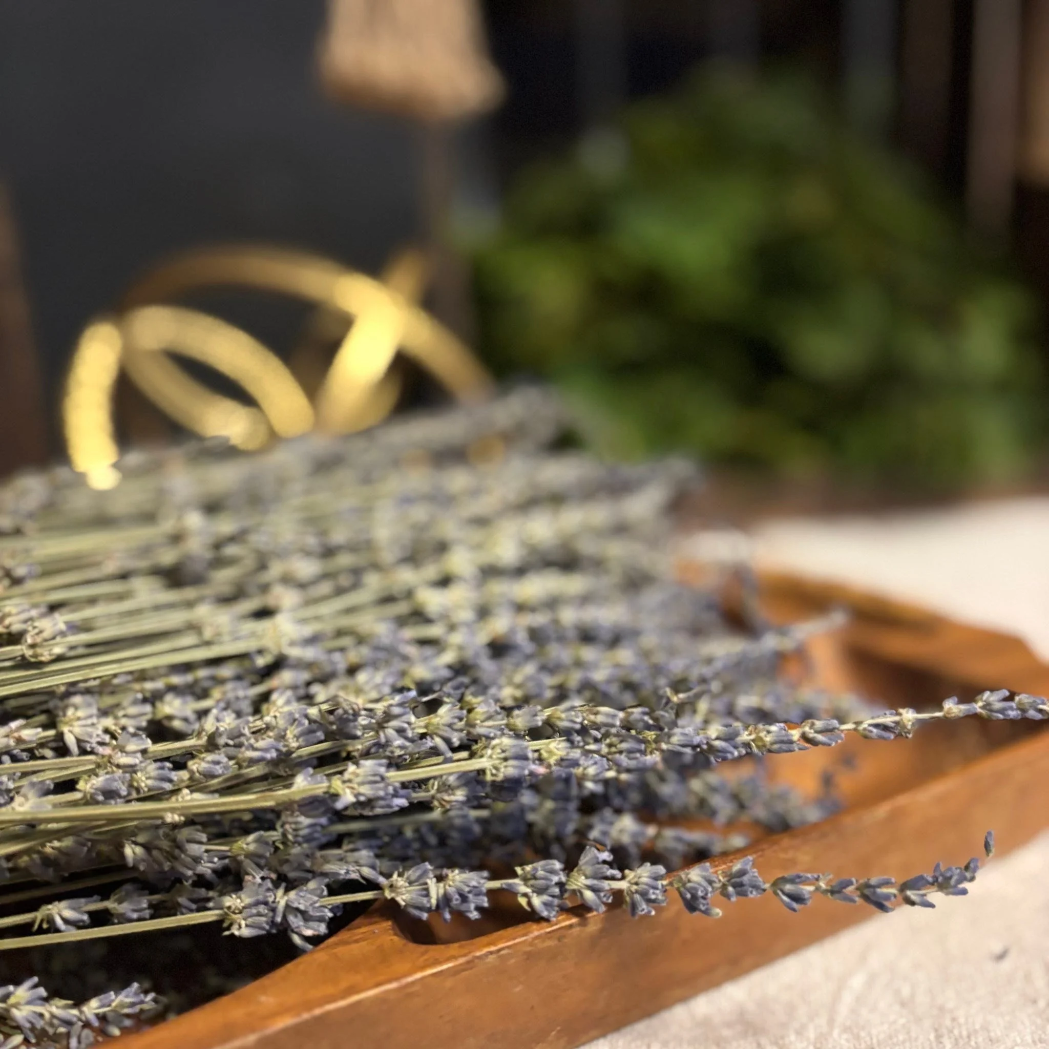 Sacred Smoke: A Smudge Stick Workshop
