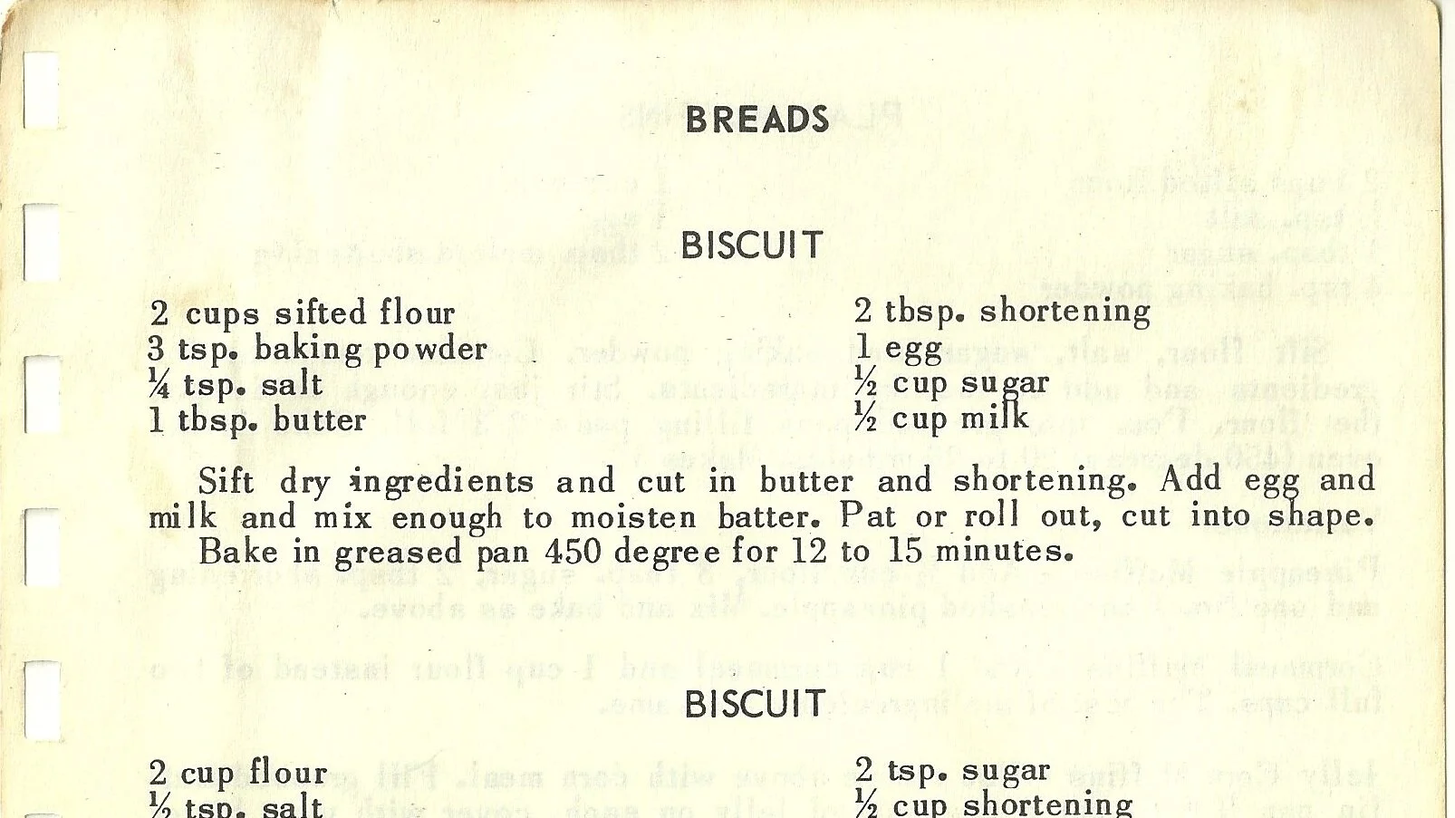 BISCUIT #1