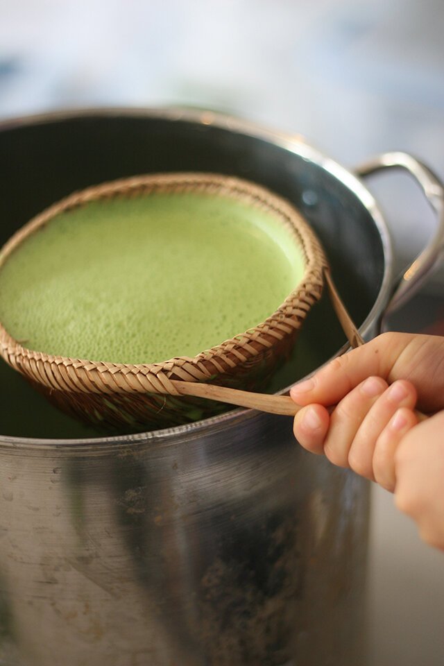 fresh-leaf-indigo_natural-dyeing_8.jpeg