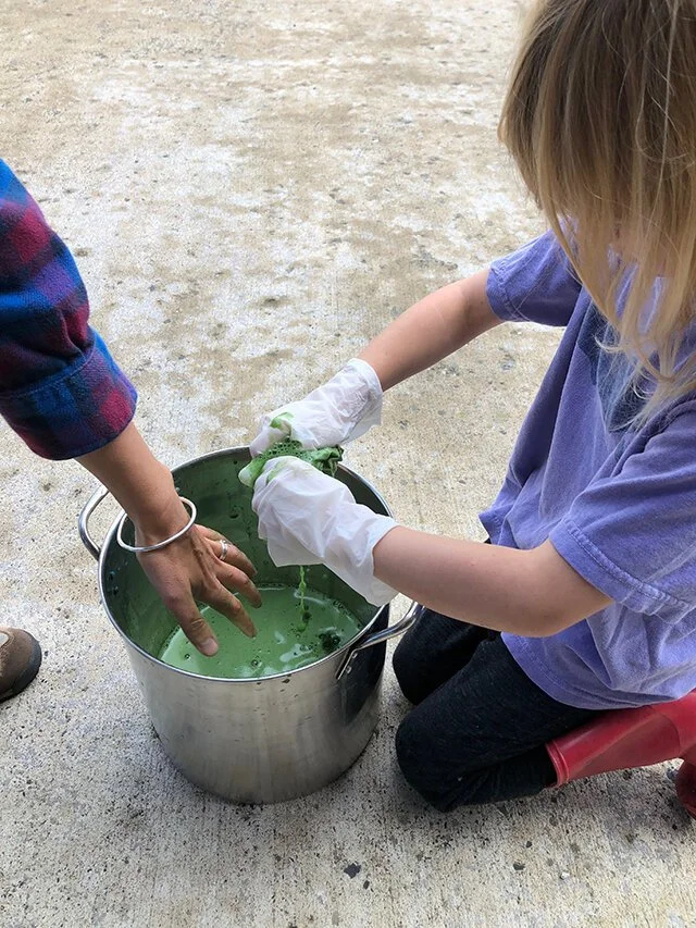 fresh-leaf-indigo_natural-dyeing_13.jpeg