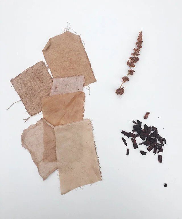 dyeing-with-dock-rumex_2.jpeg