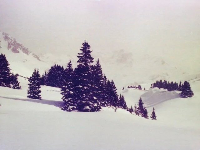 black-and-white-winter.jpeg