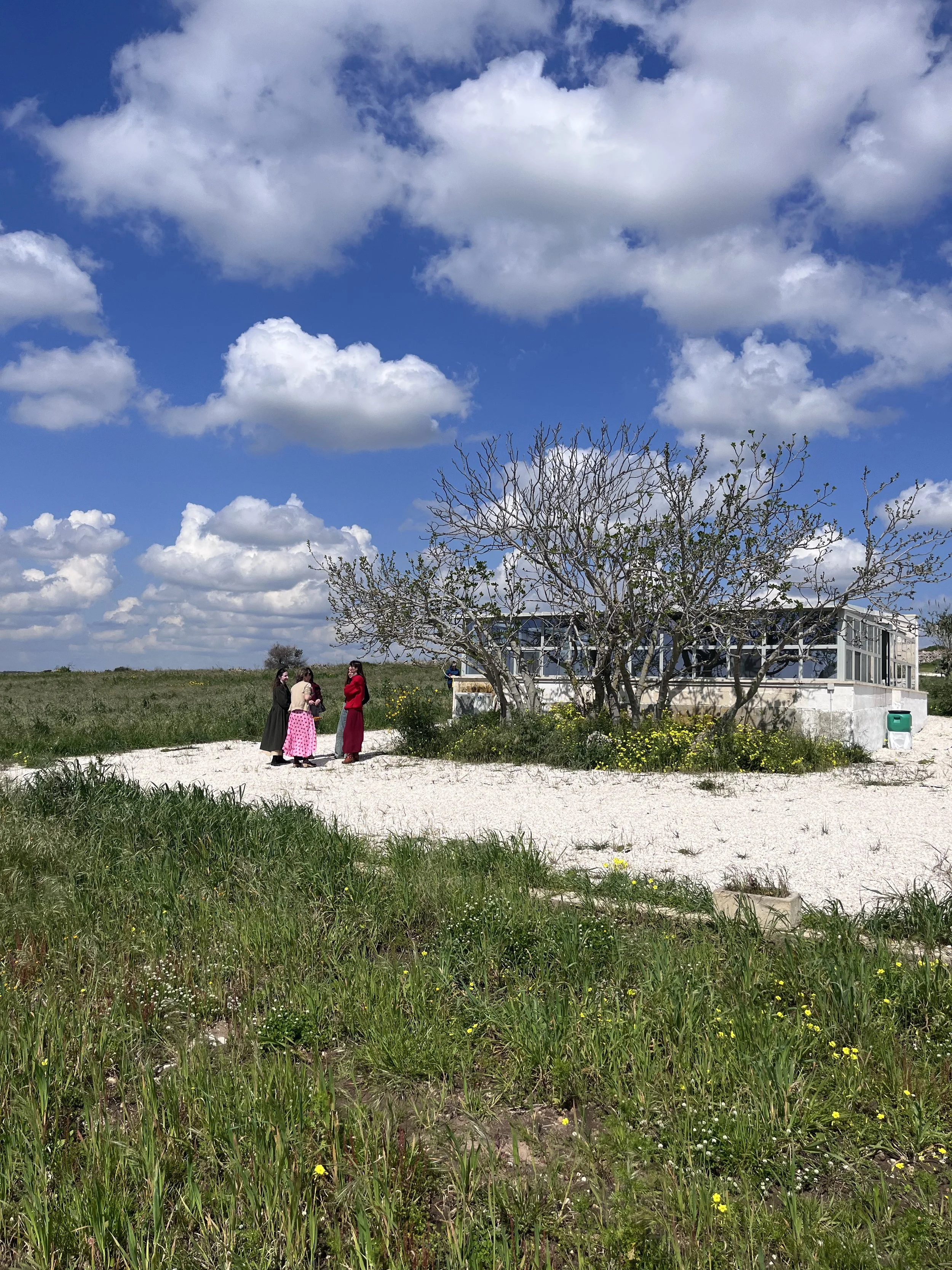Visual Storytelling with Wild Pigments in Puglia, Italy