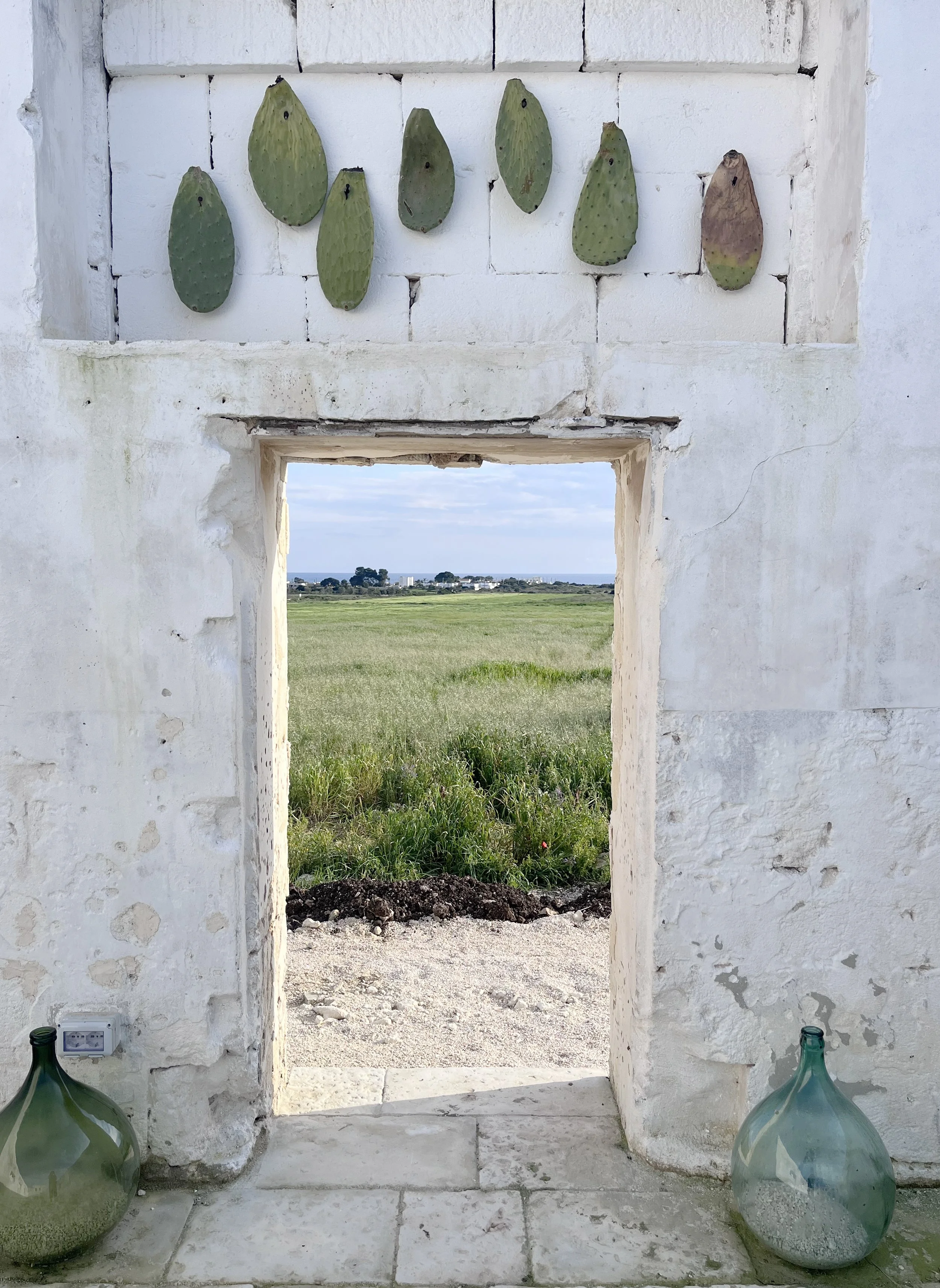 Visual Storytelling with Wild Pigments in Puglia, Italy