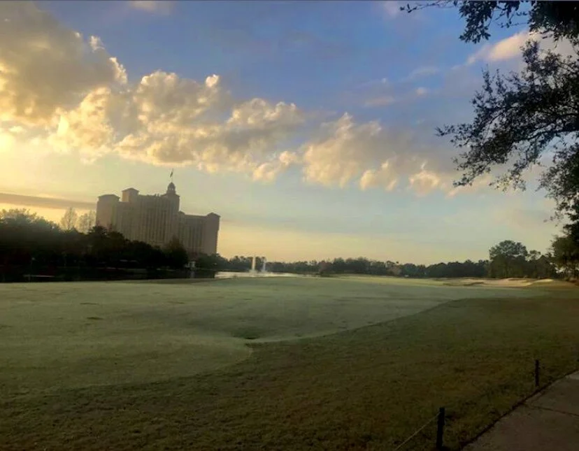 Photo Jul 17, 8 50 07 PM.jpg