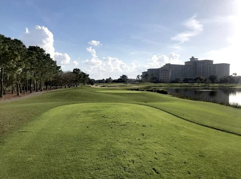 Photo Jul 17, 8 57 35 PM.jpg