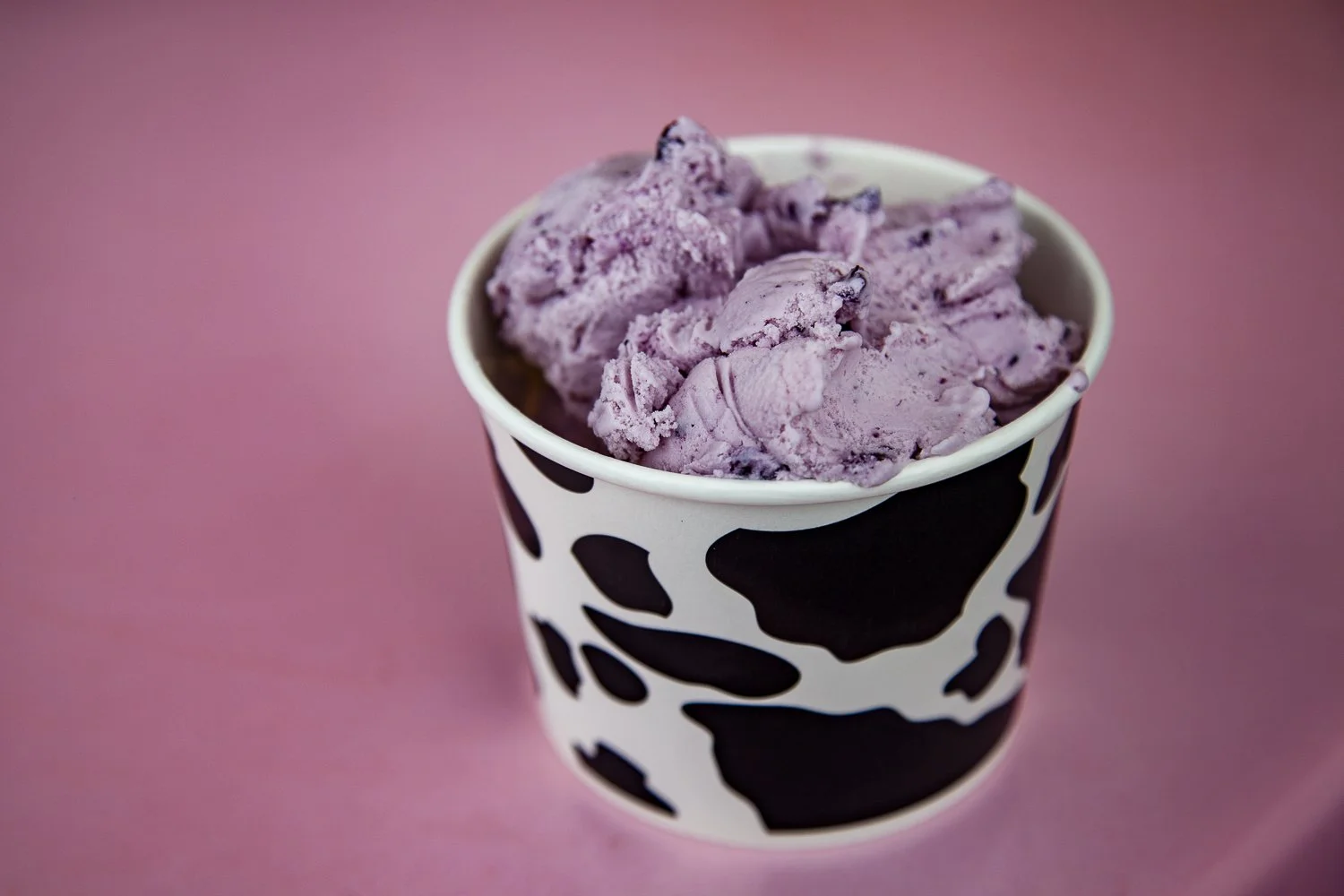 Studio-style food photography using soft, directional lighting to maintain natural color, texture, and form. Clean background and shallow depth of field highlight subject clarity and surface detail.