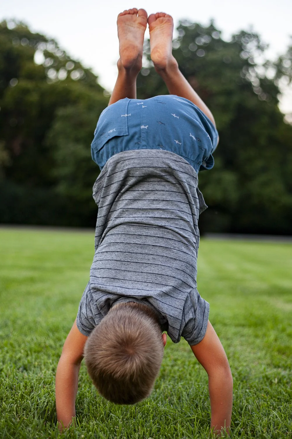 20200805_Moody Family Campus Lawn_46.jpg