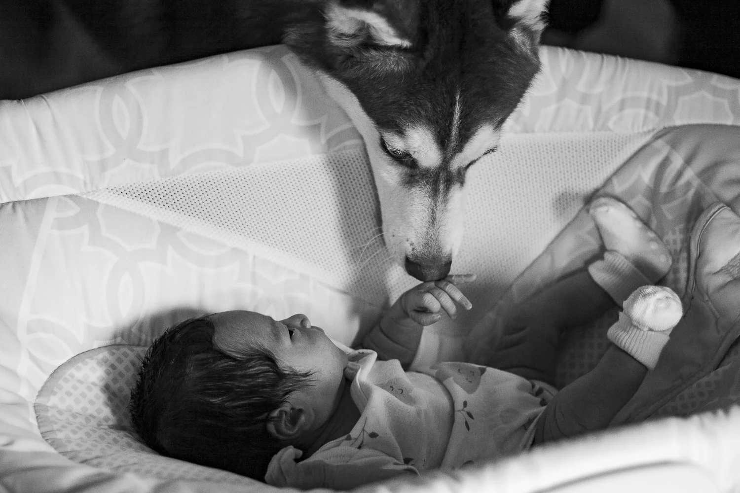 20180707_Farias Family Newborn_13.jpg