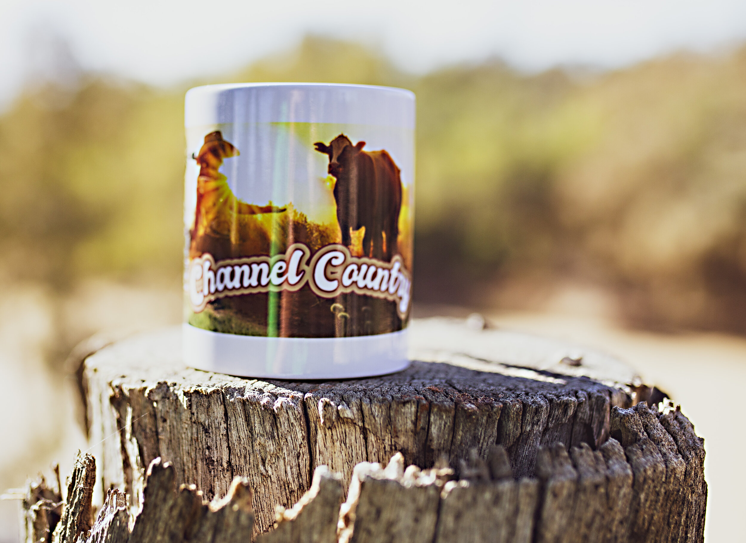 Channel Country Mug .jpg