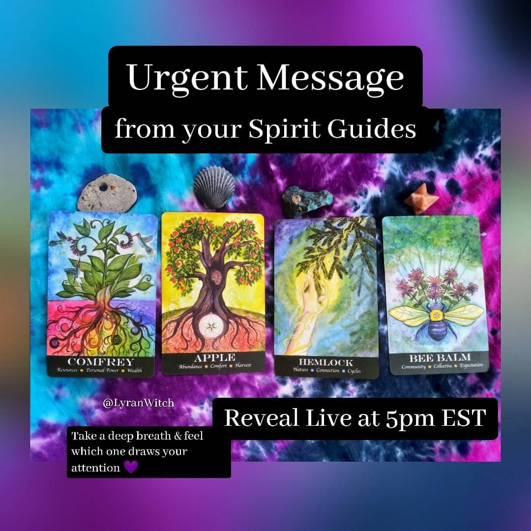 Several energies came forward to provide insight about how the eclipse energies today will be affecting us moving forward. Dove, peach tree, &amp; St. Bernards &amp; Sirian beings. What a group 😂

 I'll be sharing this &amp; card reveals at 5pm EST 