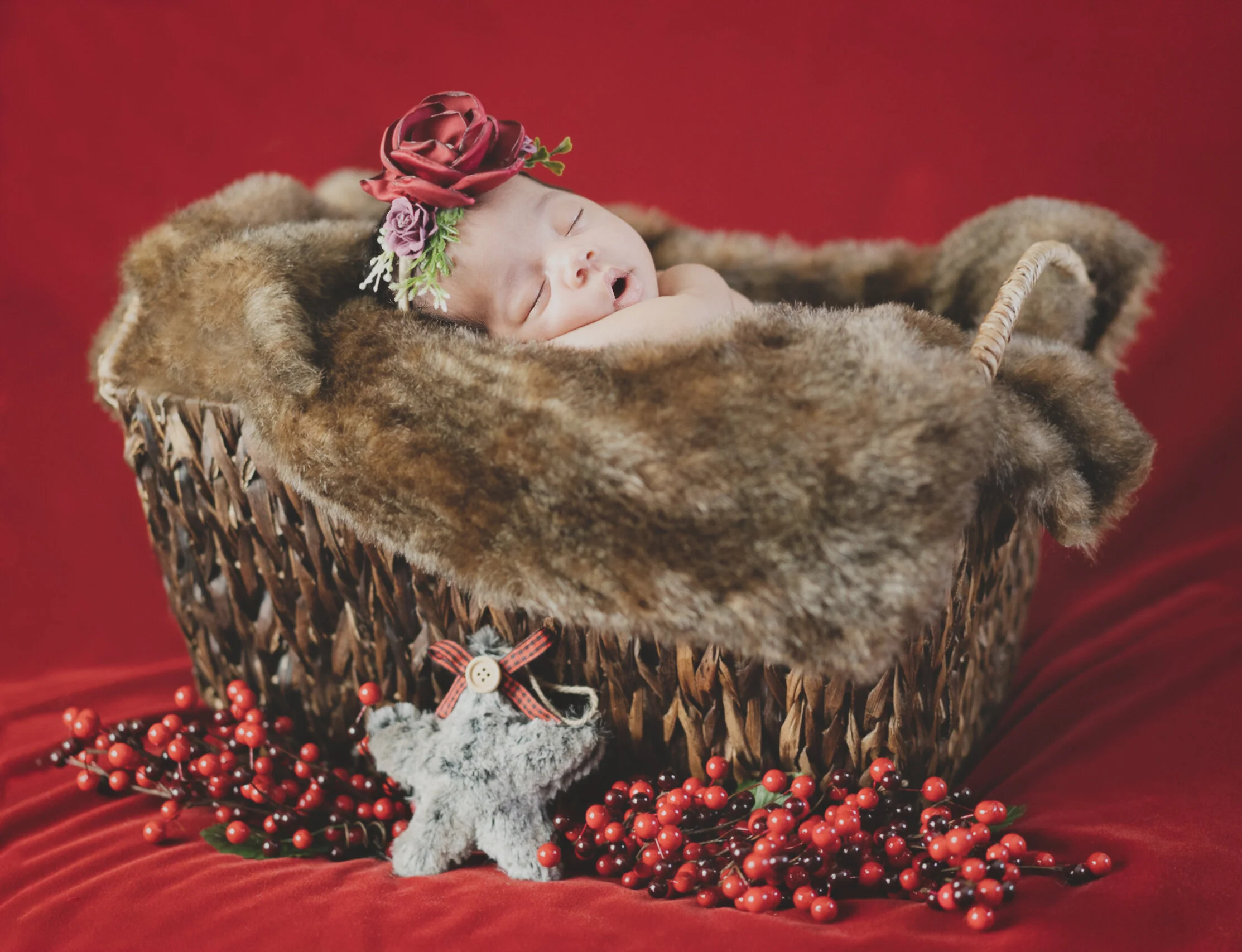 Sydney in Basket-2.jpg