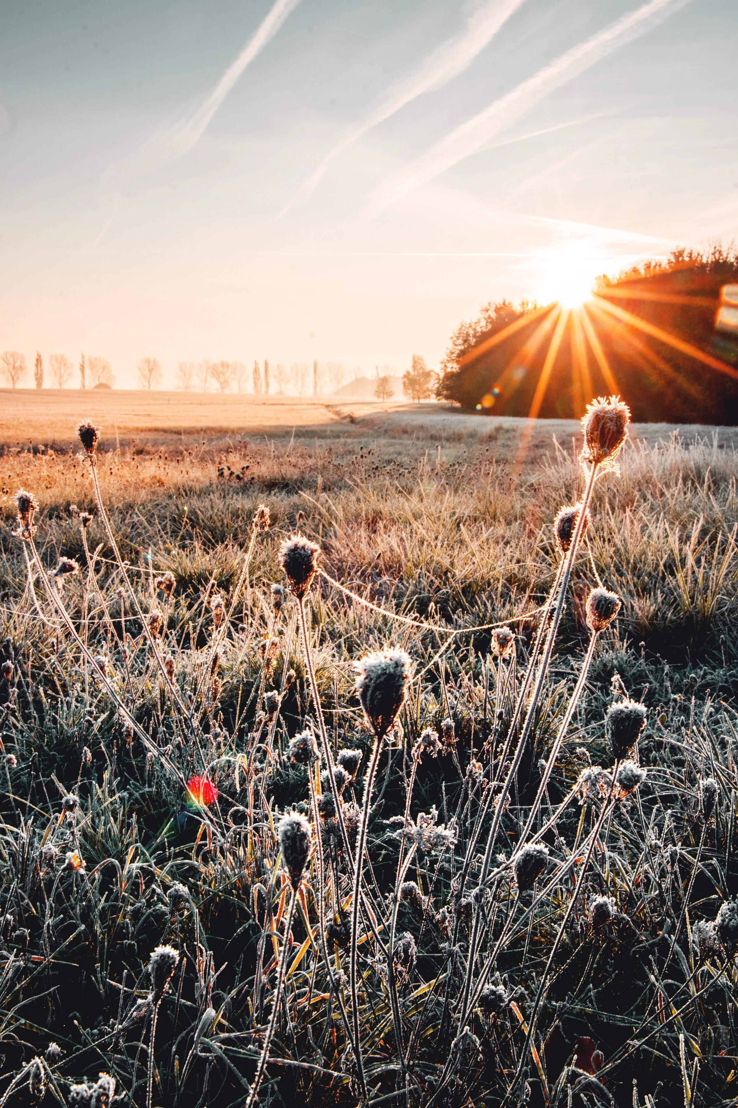 AdobeStock_299560644.jpeg