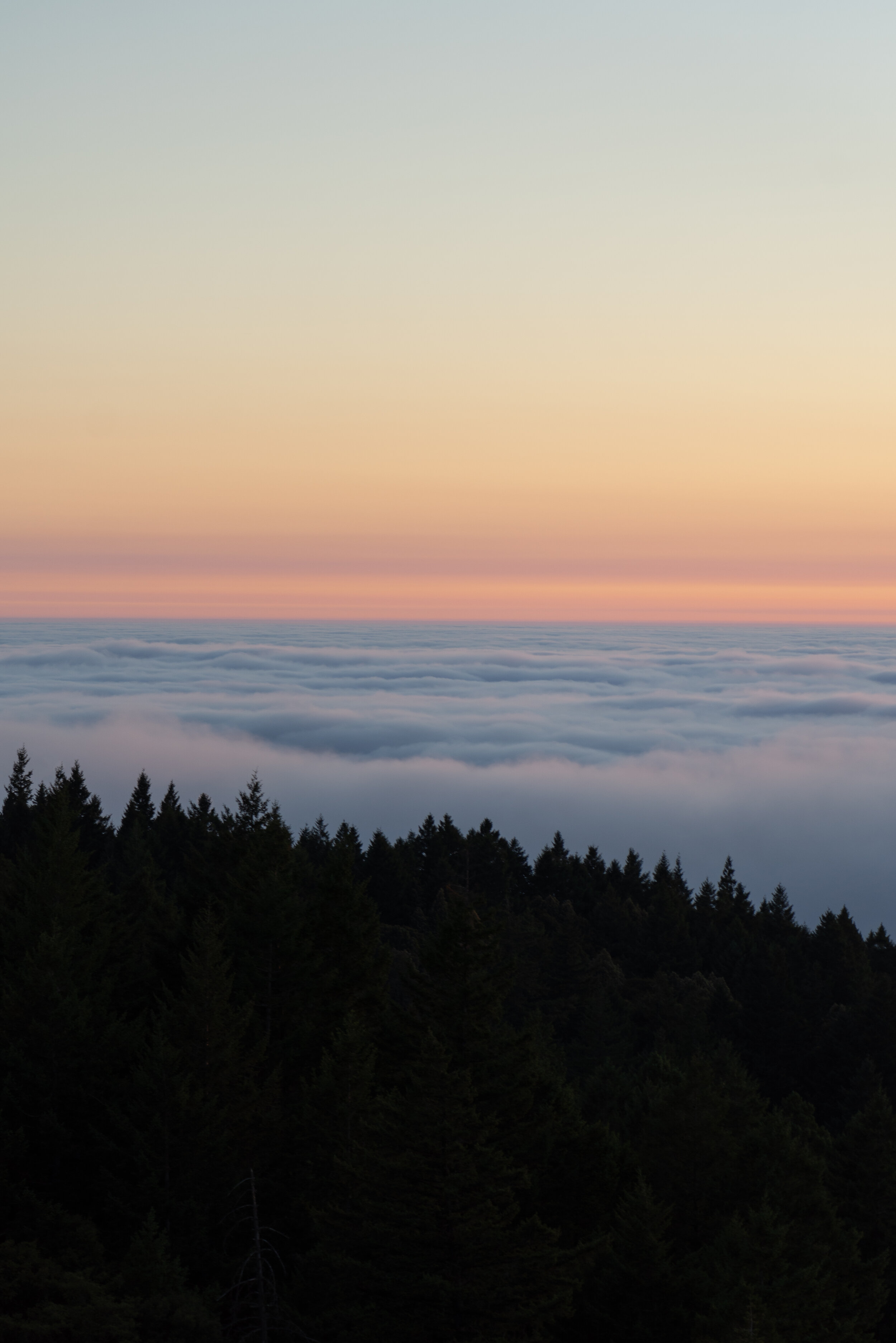 Metaphor for Coaching