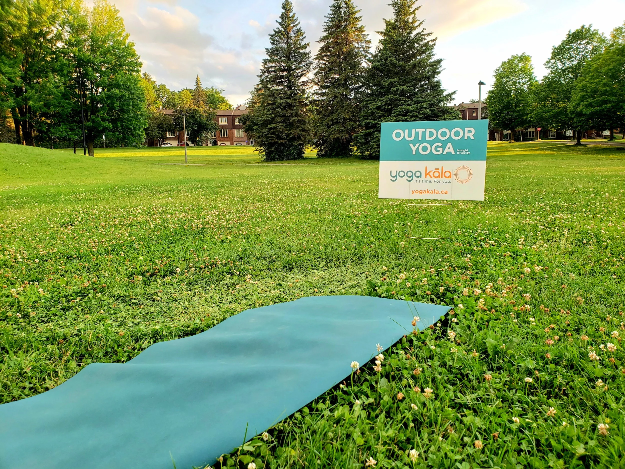 mat and sign at owl (1).jpg